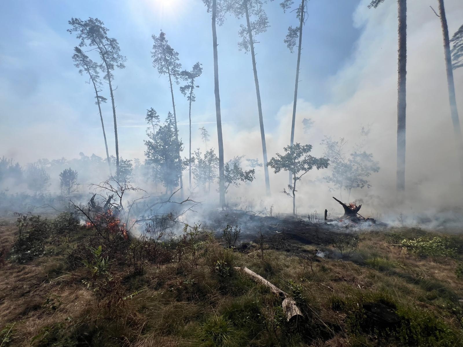 Zdjęcie w galerii na portalu naszraciborz.pl: Pożar lasu w Szymocicach. Spłonęło ponad pół hektara poszycia [FOTO i WIDEO] wiadomości z regionu