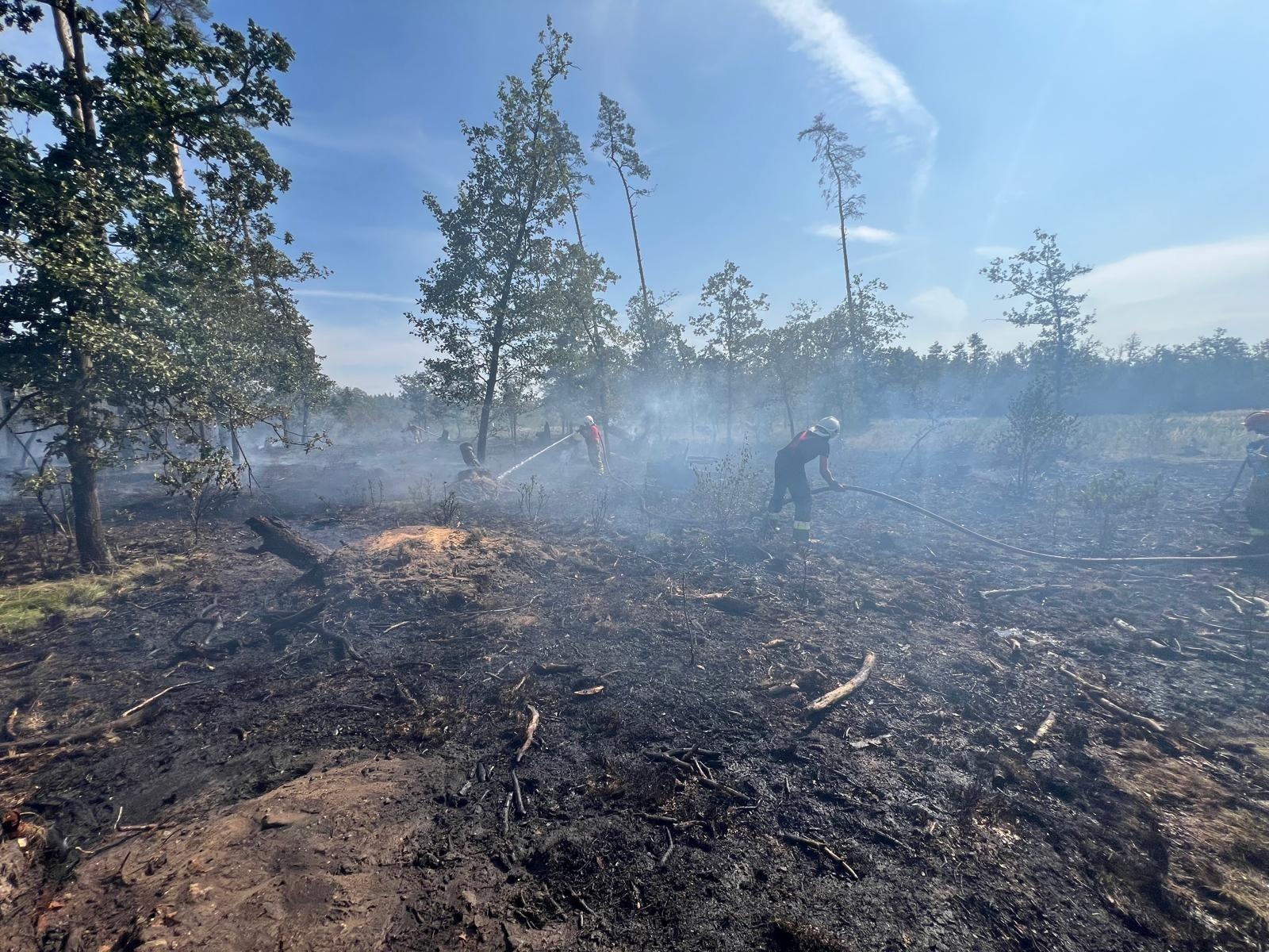 Zdjęcie w galerii na portalu naszraciborz.pl: Pożar lasu w Szymocicach. Spłonęło ponad pół hektara poszycia [FOTO i WIDEO] wiadomości z regionu