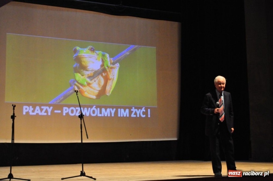 Zdjęcie w galerii na portalu naszraciborz.pl: Płazy - pozwólmy im żyć wiadomości z regionu