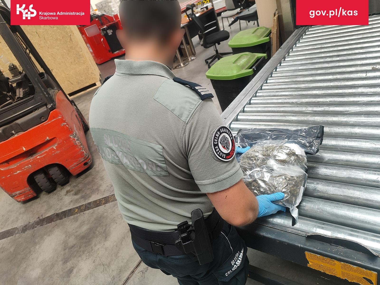 Zdjęcie w galerii na portalu naszraciborz.pl: Służby w sortowni. Marihuana zamiast kamizelki rowerowej wiadomości z regionu