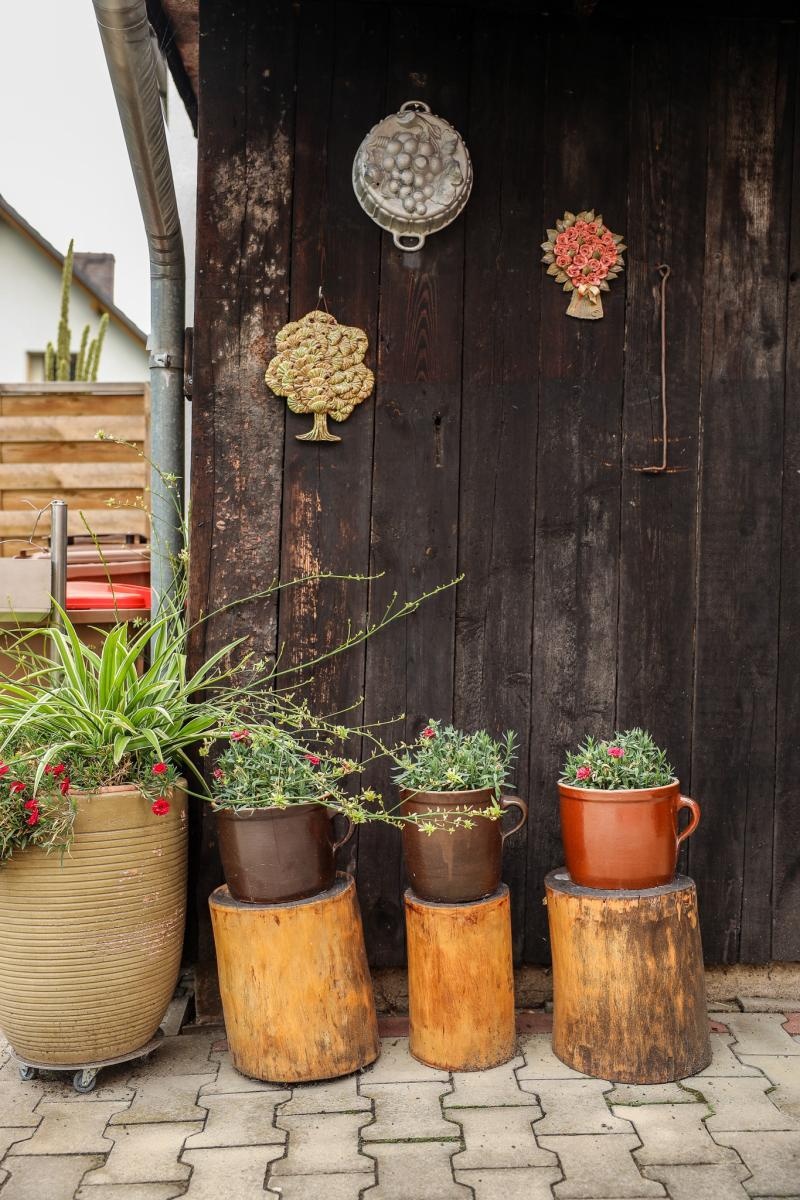 Zdjęcie w galerii na portalu naszraciborz.pl: Raciborzanie kochają zieleń. Oto ich przepiękne aranżacje wiadomości z regionu