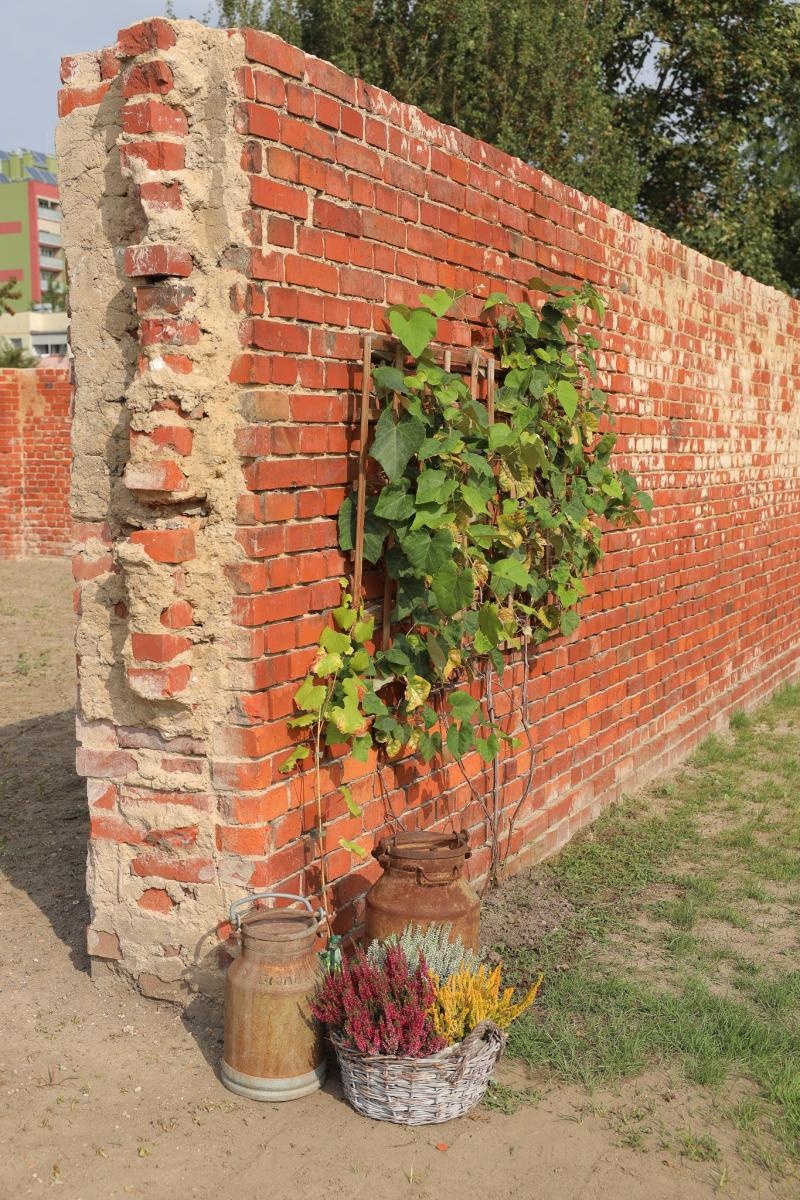Zdjęcie w galerii na portalu naszraciborz.pl: Raciborzanie kochają zieleń. Oto ich przepiękne aranżacje wiadomości z regionu
