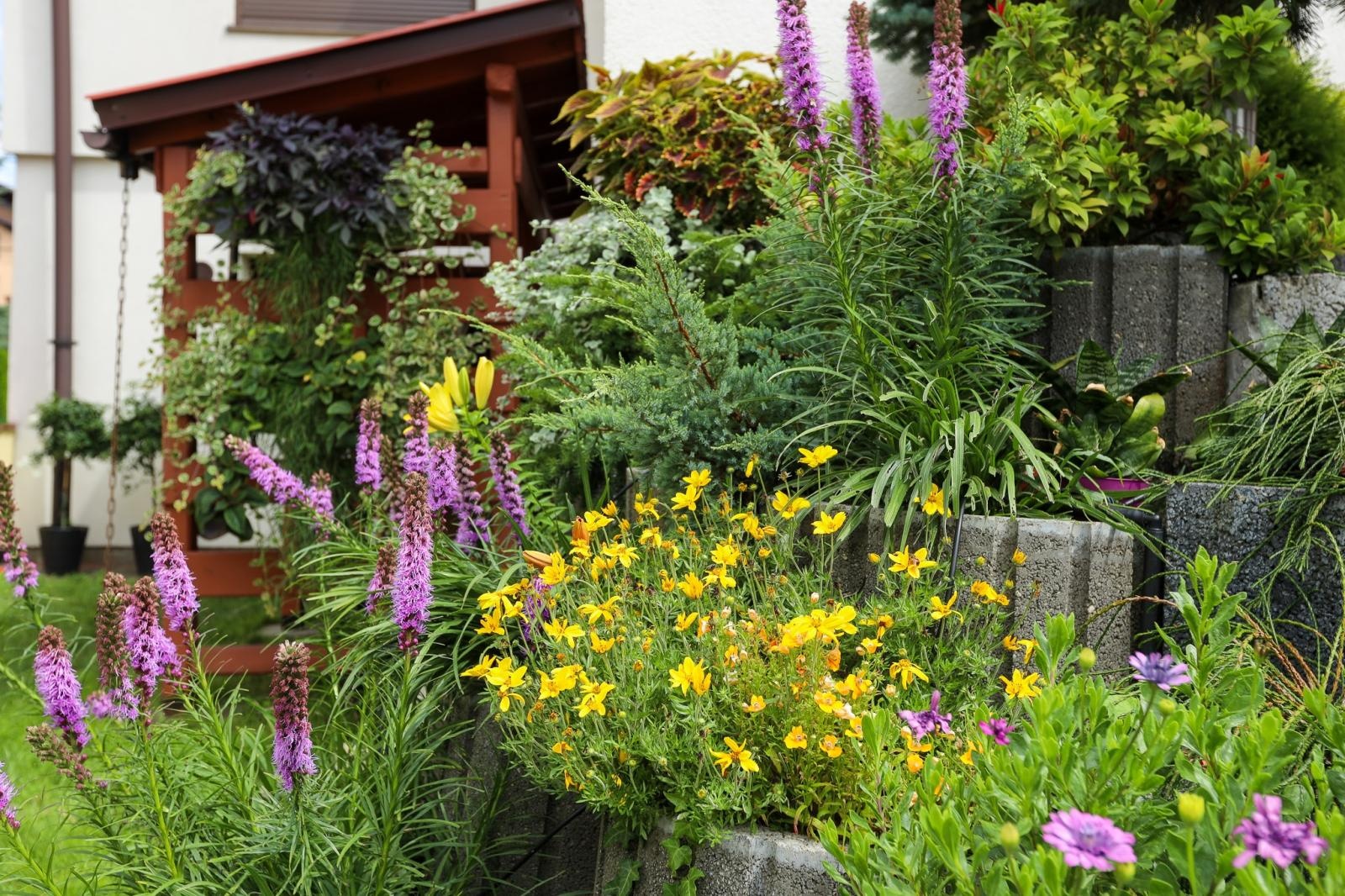 Zdjęcie w galerii na portalu naszraciborz.pl: Raciborzanie kochają zieleń. Oto ich przepiękne aranżacje wiadomości z regionu