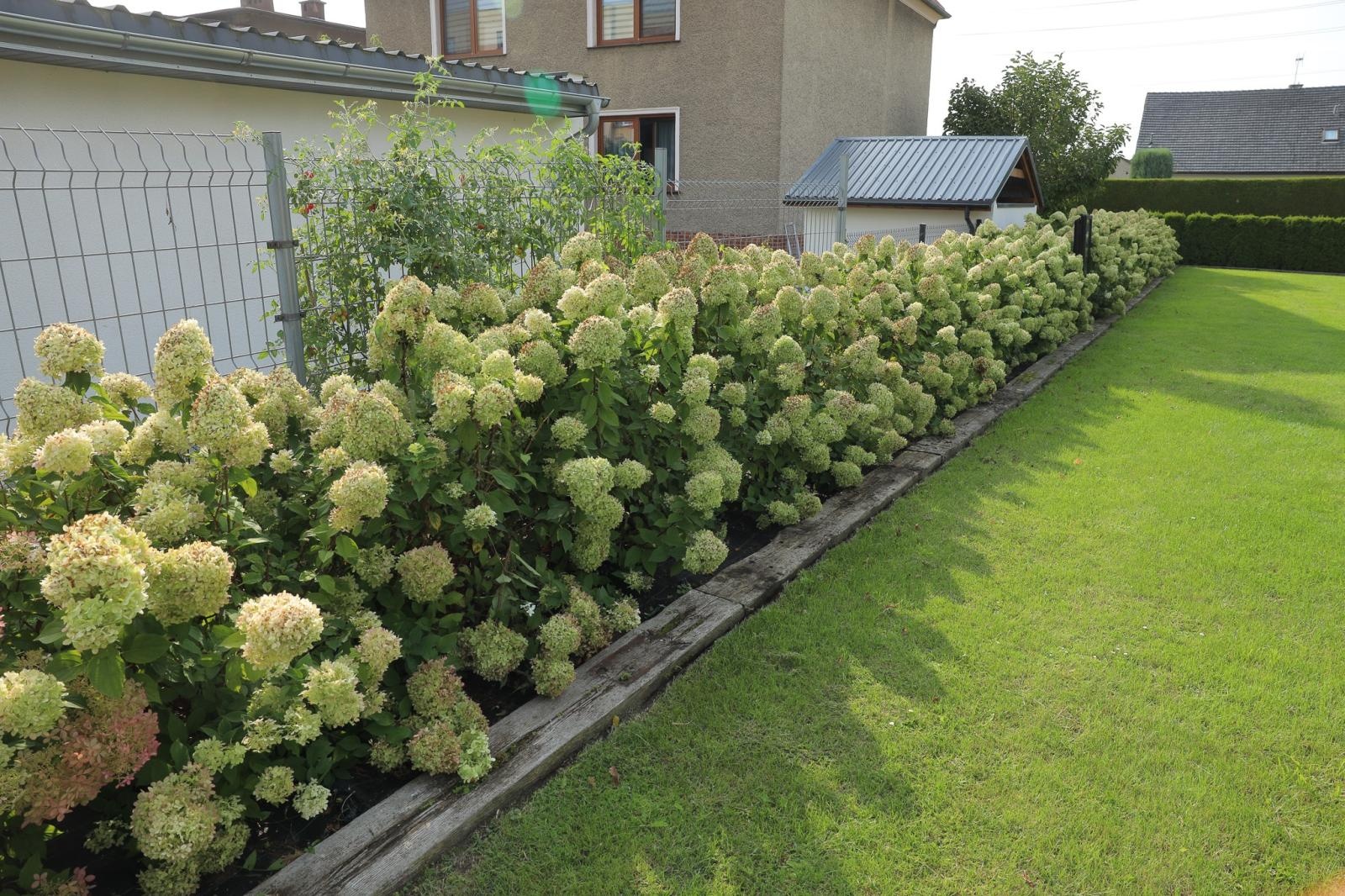 Zdjęcie w galerii na portalu naszraciborz.pl: Raciborzanie kochają zieleń. Oto ich przepiękne aranżacje wiadomości z regionu