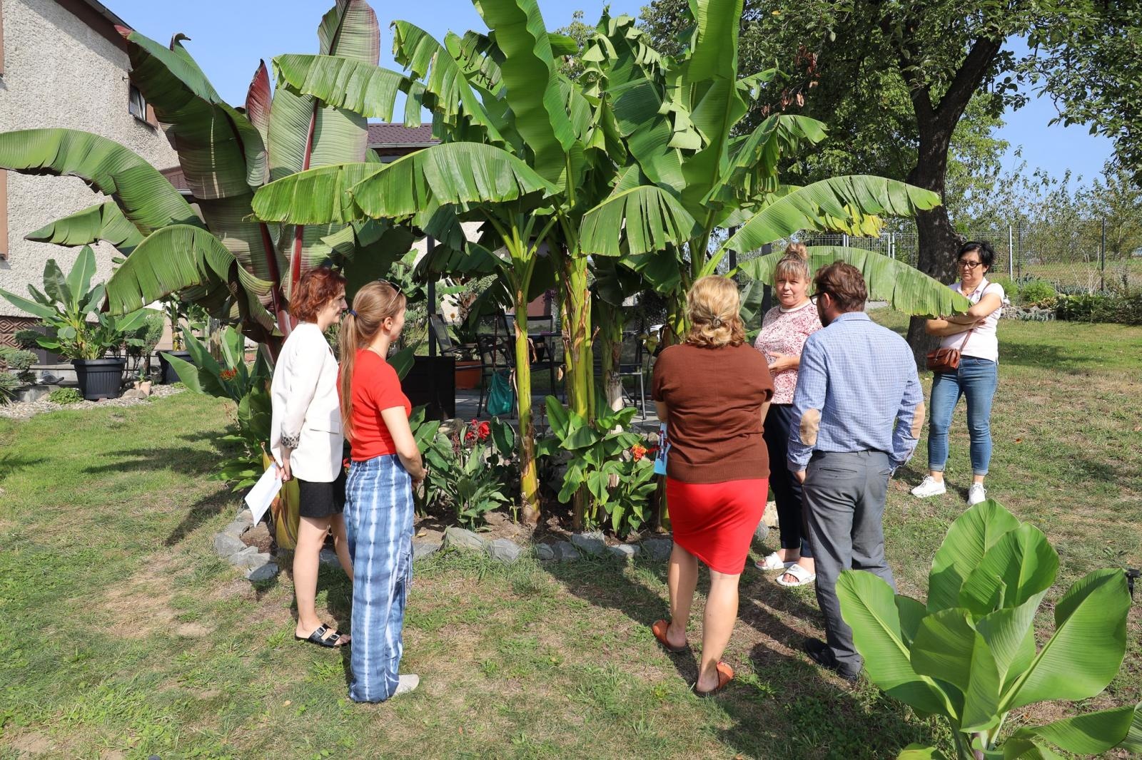 Zdjęcie w galerii na portalu naszraciborz.pl: Raciborzanie kochają zieleń. Oto ich przepiękne aranżacje wiadomości z regionu