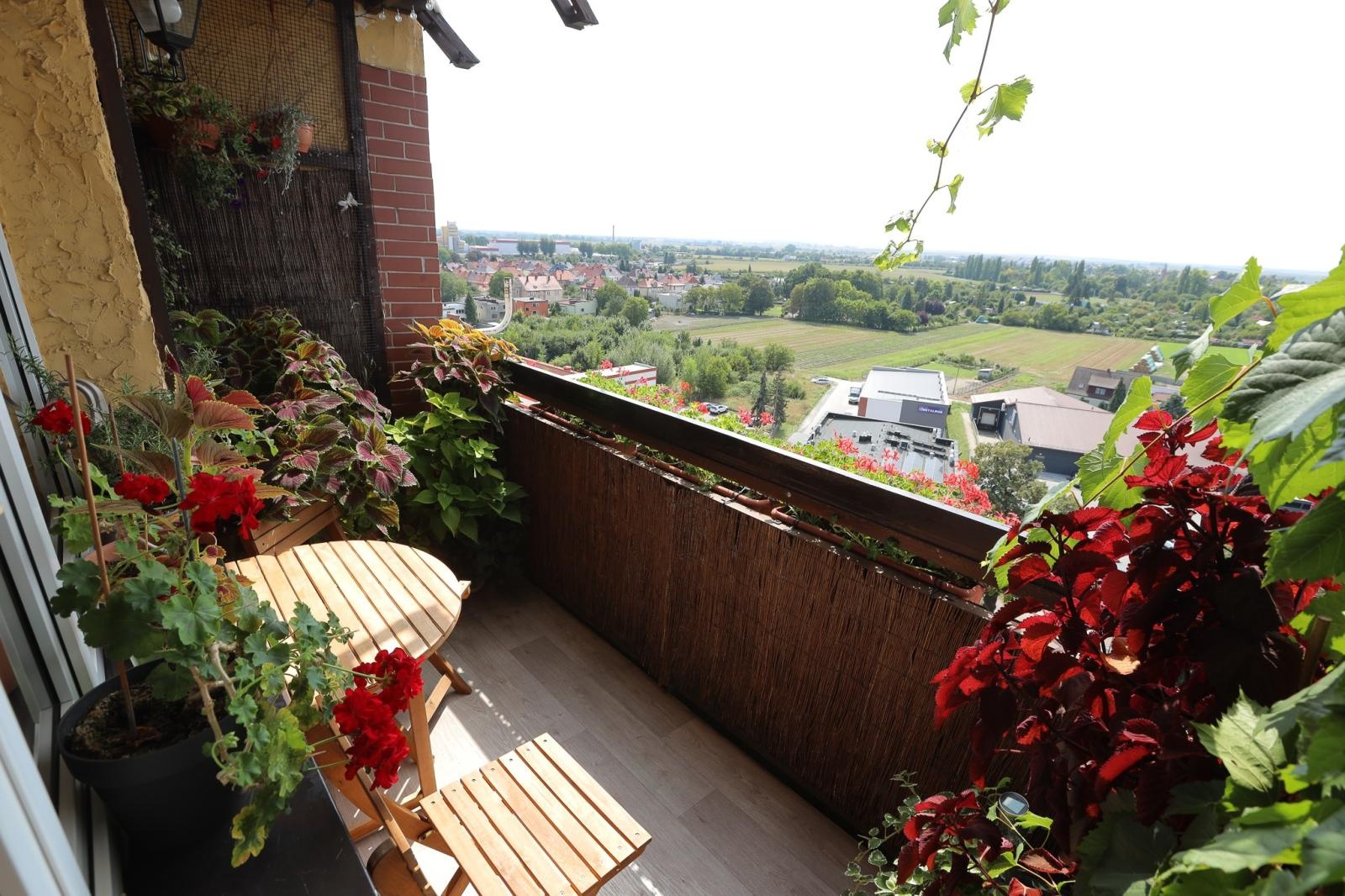 Zdjęcie w galerii na portalu naszraciborz.pl: Raciborzanie kochają zieleń. Oto ich przepiękne aranżacje wiadomości z regionu