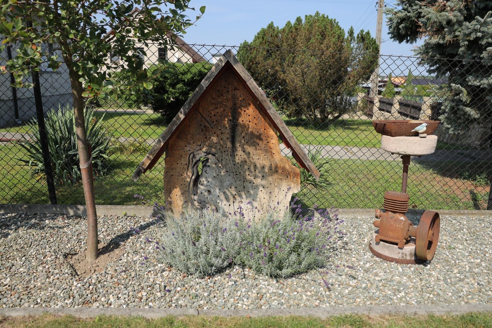 Zdjęcie w galerii na portalu naszraciborz.pl: Raciborzanie kochają zieleń. Oto ich przepiękne aranżacje wiadomości z regionu