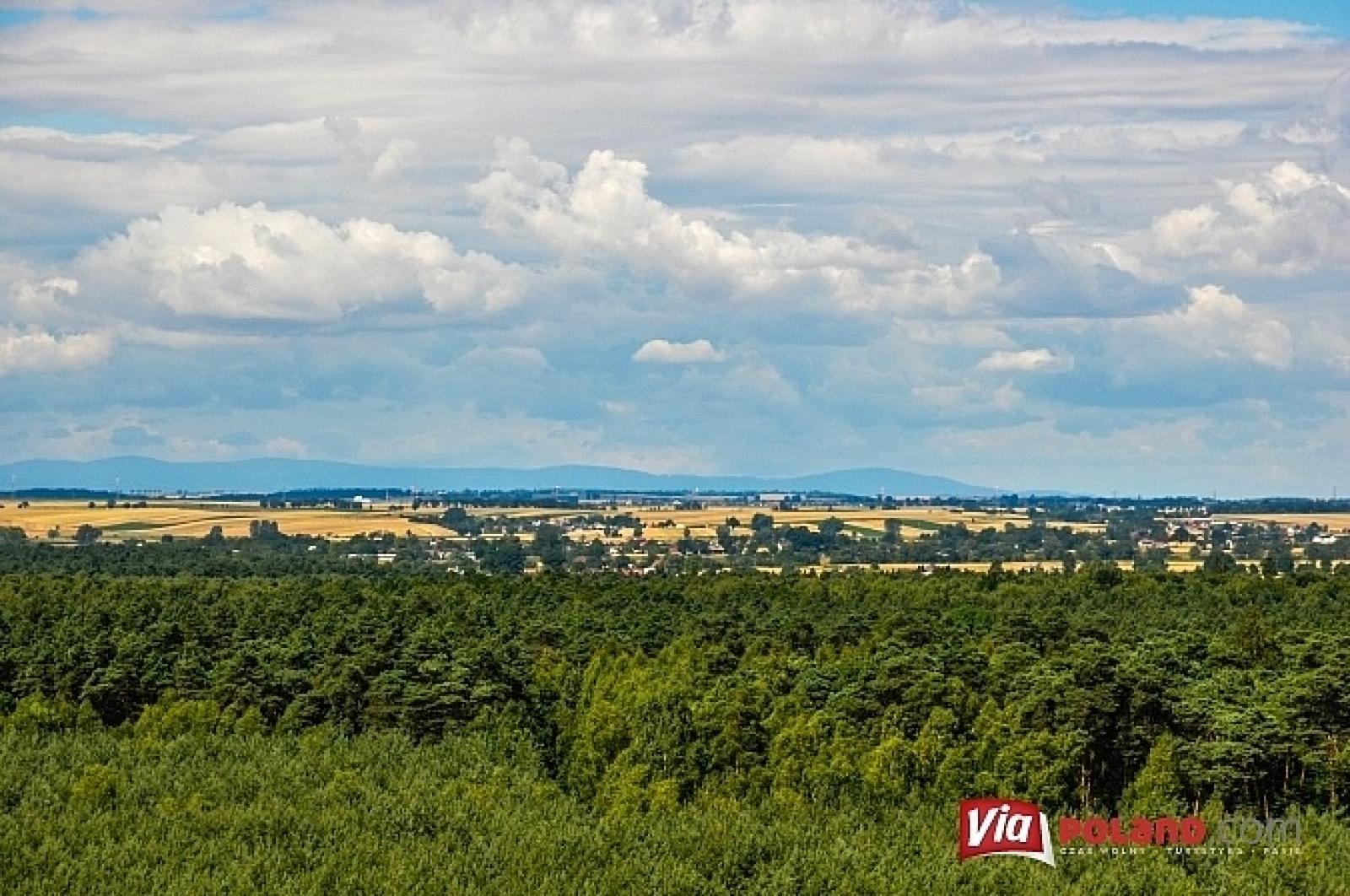 Zdjęcie w galerii na portalu naszraciborz.pl: Leśnicy z Rud pokazali jak wieże obserwacyjne precyzyjnie namierzają pożar wiadomości z regionu