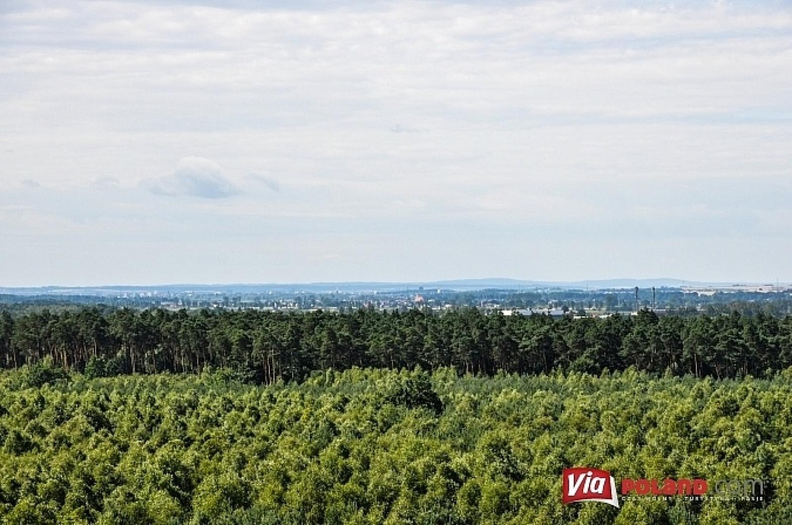 Zdjęcie w galerii na portalu naszraciborz.pl: Leśnicy z Rud pokazali jak wieże obserwacyjne precyzyjnie namierzają pożar wiadomości z regionu