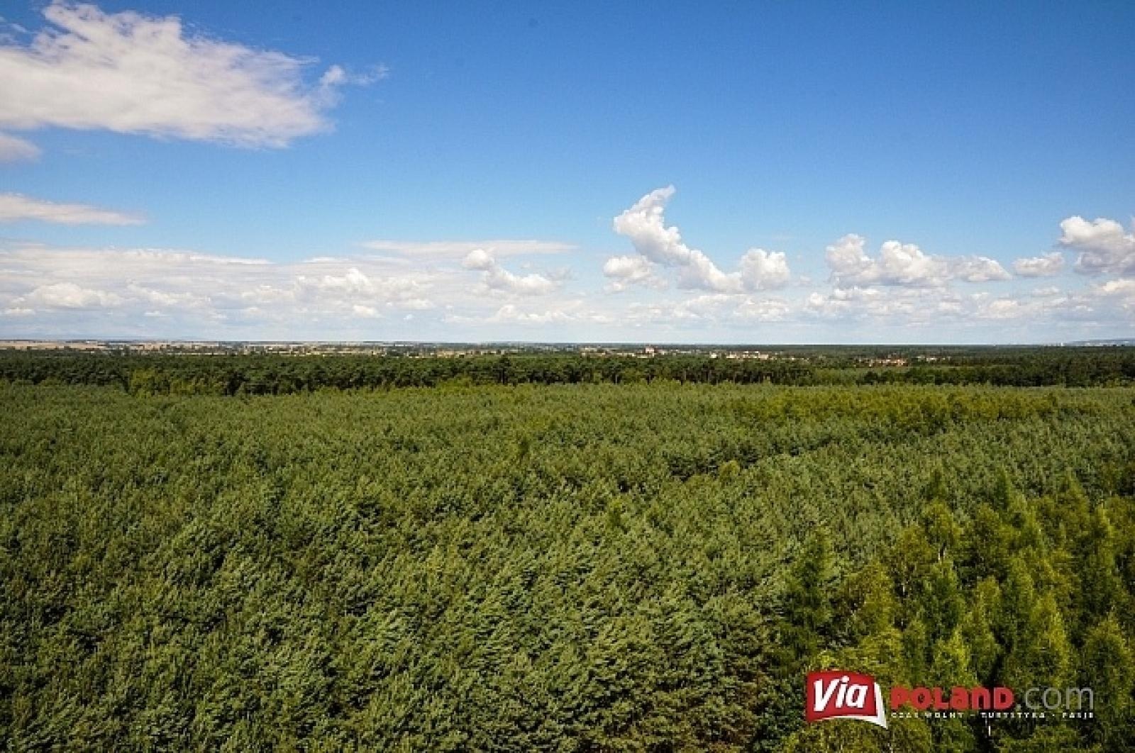 Zdjęcie w galerii na portalu naszraciborz.pl: Leśnicy z Rud pokazali jak wieże obserwacyjne precyzyjnie namierzają pożar wiadomości z regionu