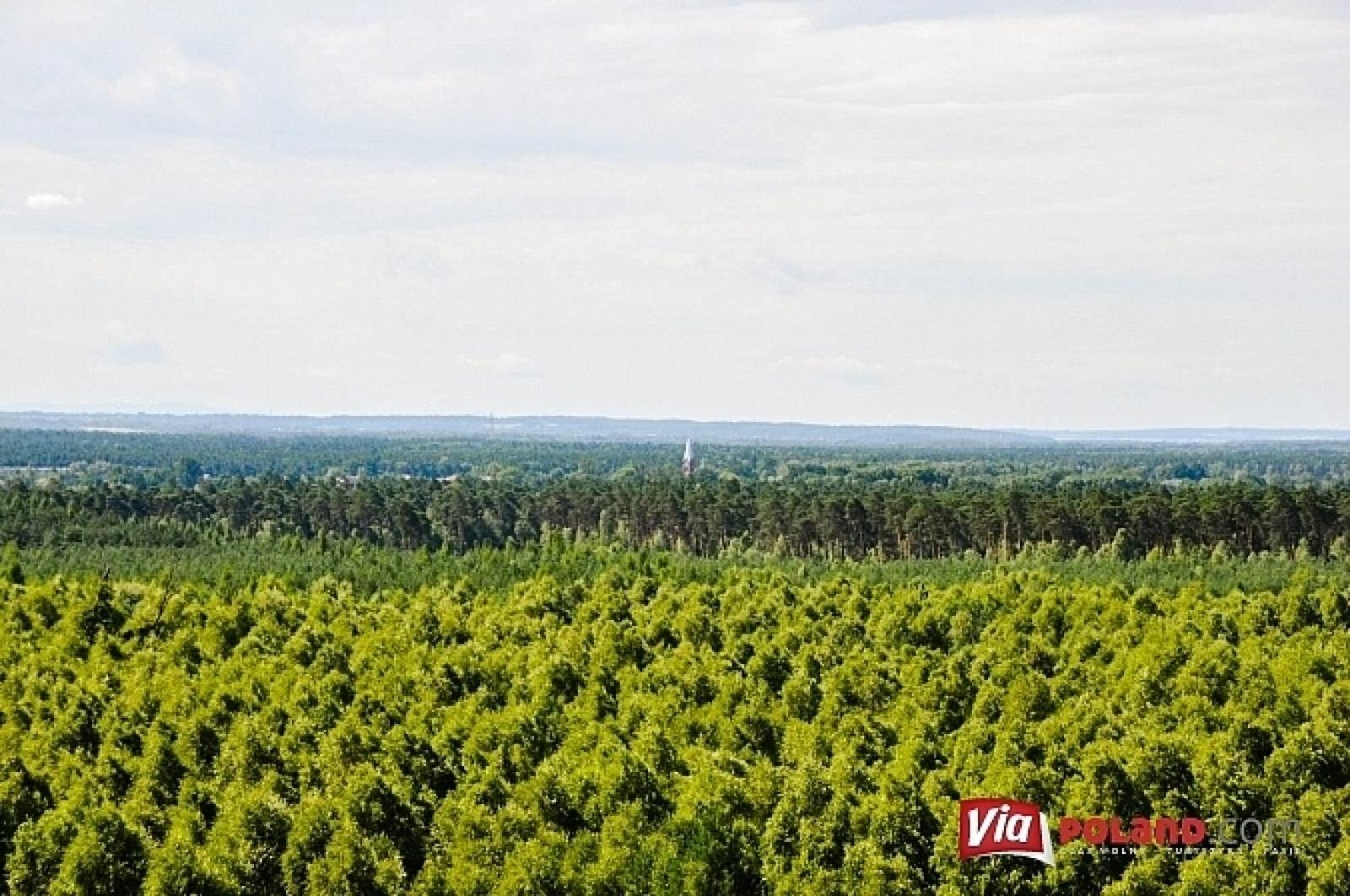 Zdjęcie w galerii na portalu naszraciborz.pl: Leśnicy z Rud pokazali jak wieże obserwacyjne precyzyjnie namierzają pożar wiadomości z regionu