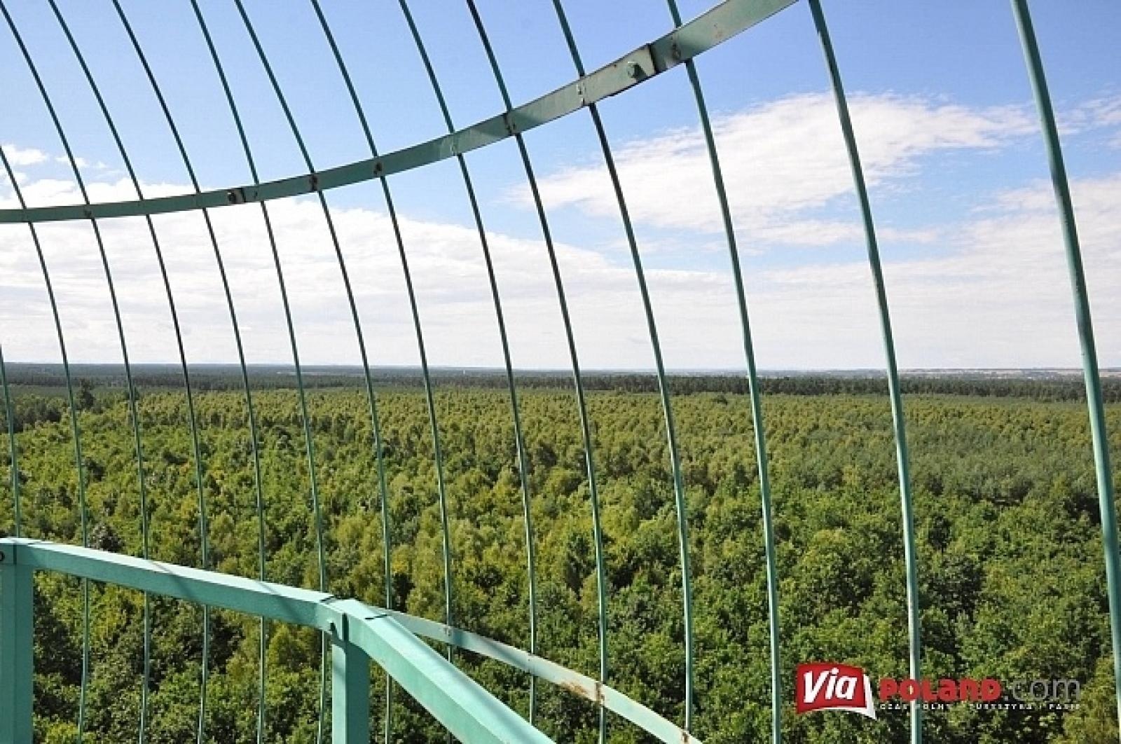 Zdjęcie w galerii na portalu naszraciborz.pl: Leśnicy z Rud pokazali jak wieże obserwacyjne precyzyjnie namierzają pożar wiadomości z regionu