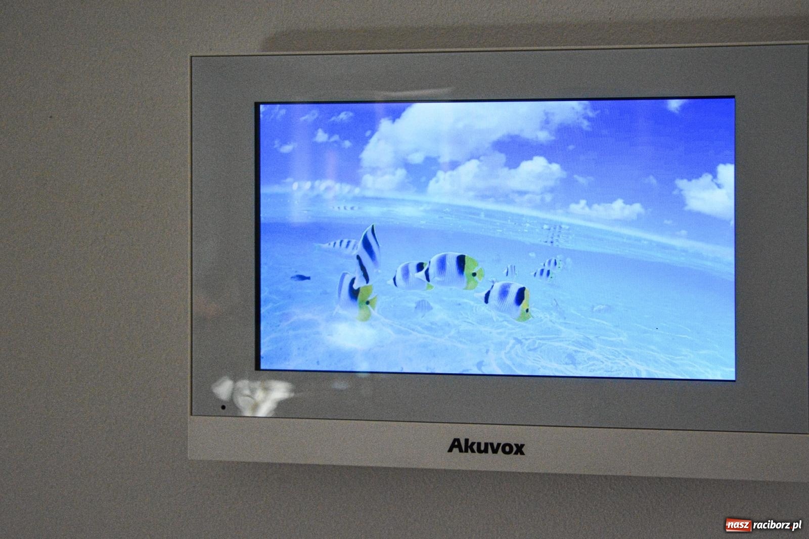 Zdjęcie w galerii na portalu naszraciborz.pl: Fundacja Omeny Mensah wsparła przedszkole w Brzeźnicy wiadomości z regionu