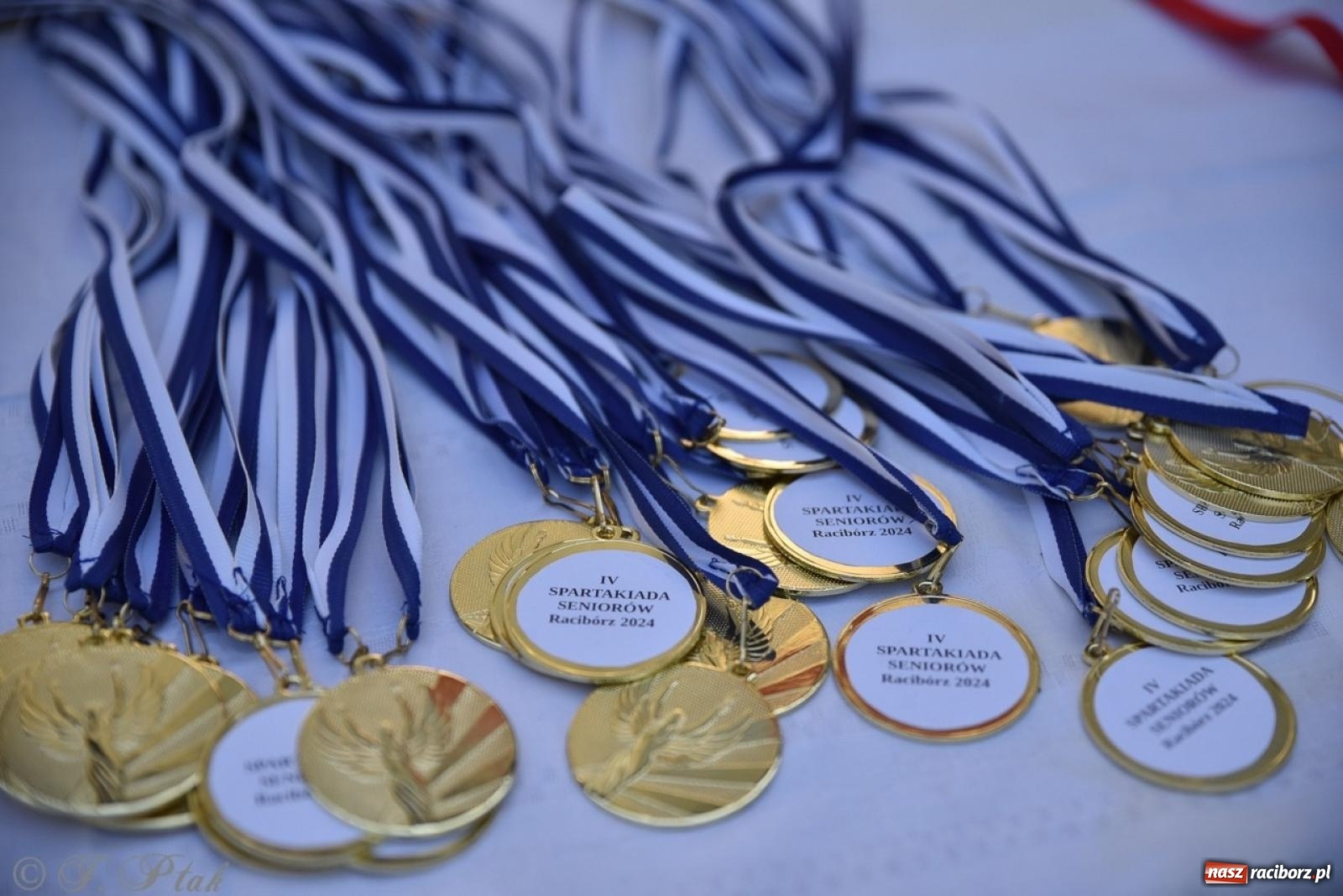 Zdjęcie w galerii na portalu naszraciborz.pl: Spartakiada Seniorów Powiatu Raciborskiego po raz czwarty na Kampingu Obora [FOTO i WIDEO] wiadomości z regionu