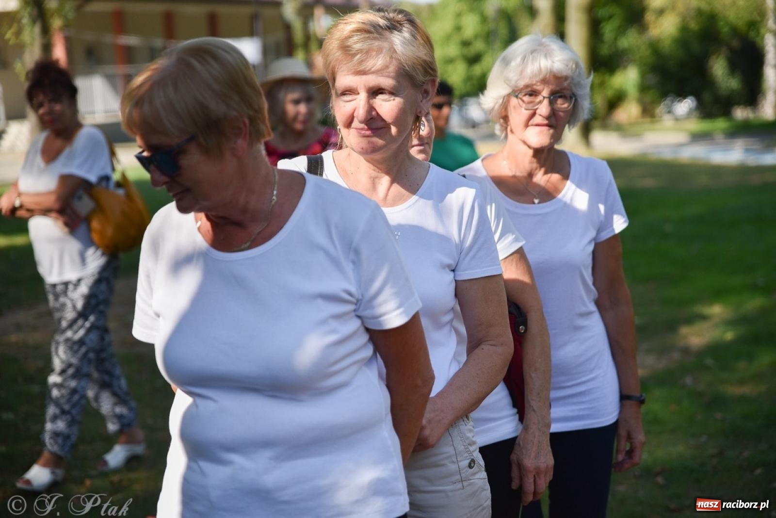 Zdjęcie w galerii na portalu naszraciborz.pl: Spartakiada Seniorów Powiatu Raciborskiego po raz czwarty na Kampingu Obora [FOTO i WIDEO] wiadomości z regionu
