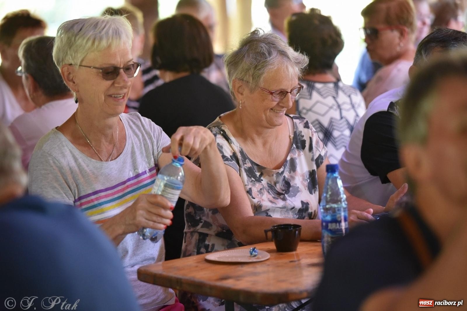 Zdjęcie w galerii na portalu naszraciborz.pl: Spartakiada Seniorów Powiatu Raciborskiego po raz czwarty na Kampingu Obora [FOTO i WIDEO] wiadomości z regionu