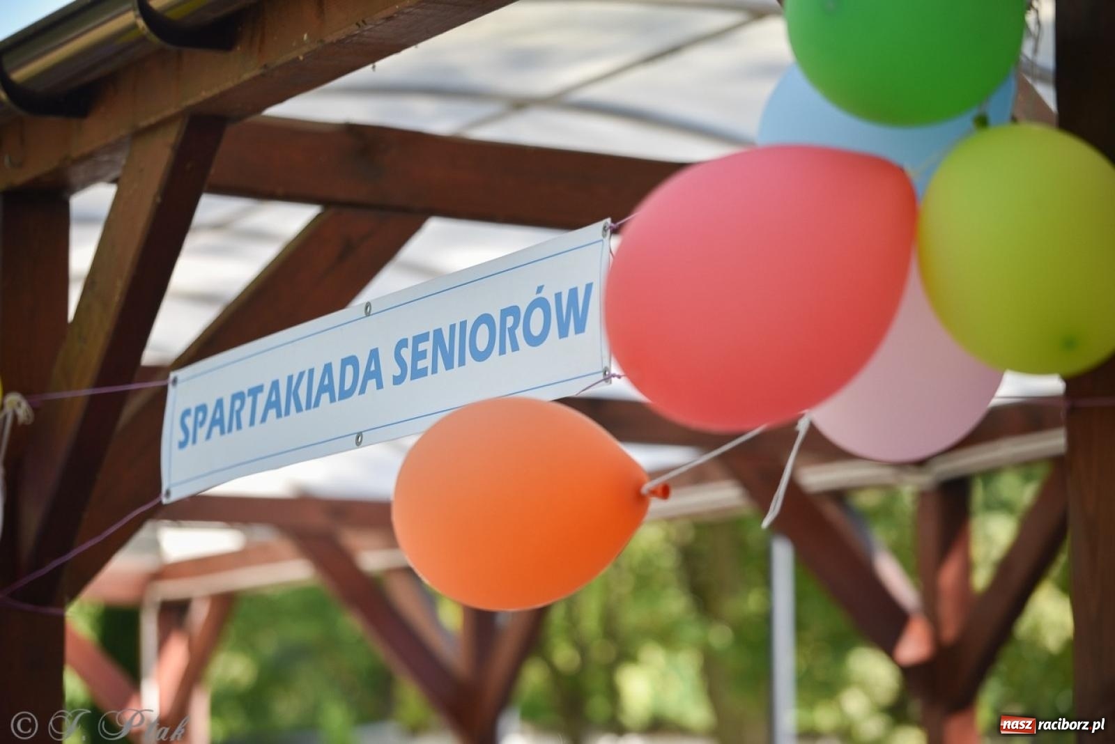 Zdjęcie w galerii na portalu naszraciborz.pl: Spartakiada Seniorów Powiatu Raciborskiego po raz czwarty na Kampingu Obora [FOTO i WIDEO] wiadomości z regionu