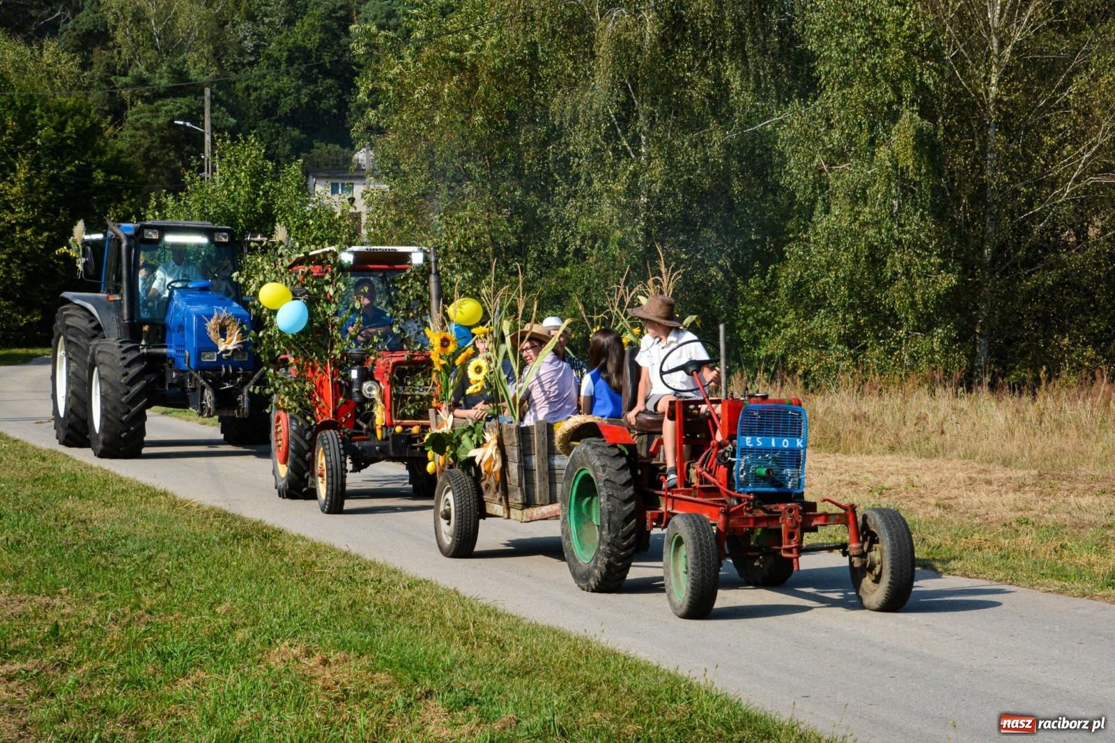 Zdjęcie w galerii na portalu naszraciborz.pl: Dożynki Gminy Kuźnia Raciborska: Festiwal tradycji i kultury ponad granicami wiadomości z regionu