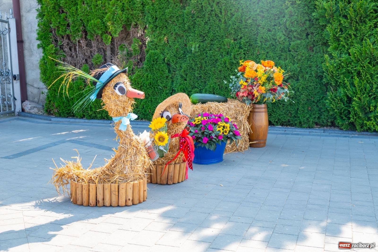 Zdjęcie w galerii na portalu naszraciborz.pl: Wielkie święto w niewielkich Żerdzinach. Dożynki gminy Pietrowice Wielkie [FOTO i WIDEO] wiadomości z regionu