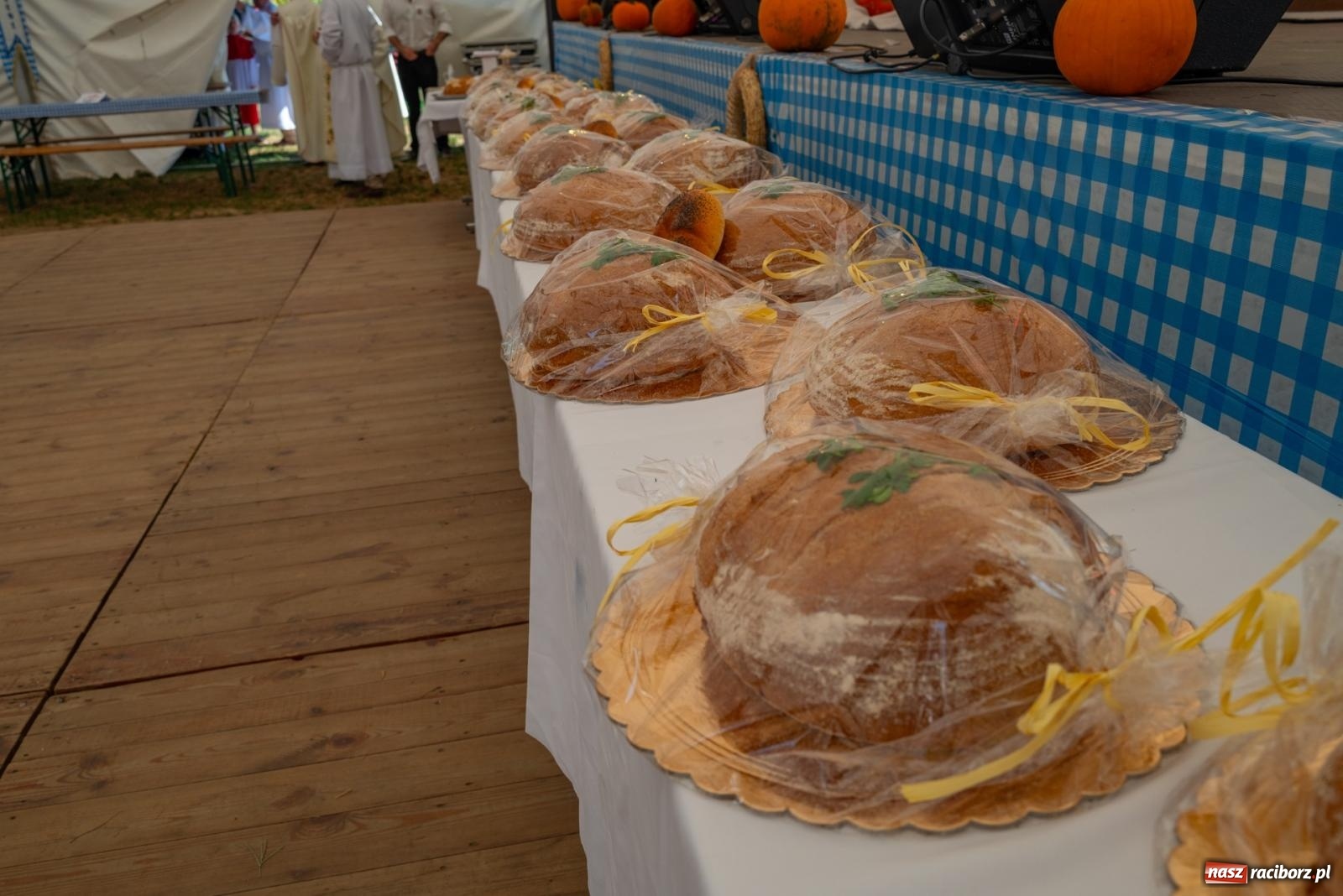 Zdjęcie w galerii na portalu naszraciborz.pl: Wielkie święto w niewielkich Żerdzinach. Dożynki gminy Pietrowice Wielkie [FOTO i WIDEO] wiadomości z regionu