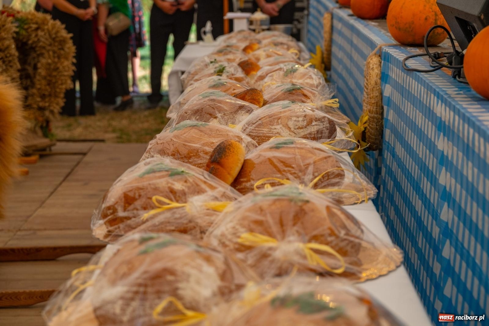 Zdjęcie w galerii na portalu naszraciborz.pl: Wielkie święto w niewielkich Żerdzinach. Dożynki gminy Pietrowice Wielkie [FOTO i WIDEO] wiadomości z regionu