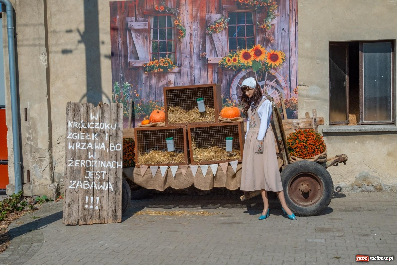 Zdjęcie w galerii na portalu naszraciborz.pl: Wielkie święto w niewielkich Żerdzinach. Dożynki gminy Pietrowice Wielkie [FOTO i WIDEO] wiadomości z regionu