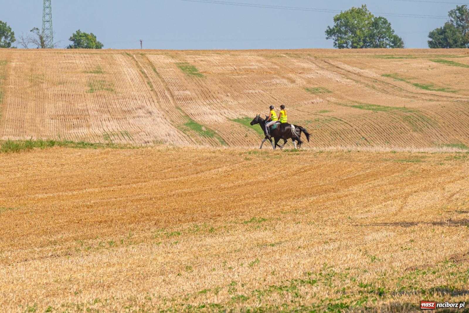 Zdjęcie w galerii na portalu naszraciborz.pl: Szlakiem cesarskich kurierów. Rajtowanie w Gamowie  wiadomości z regionu