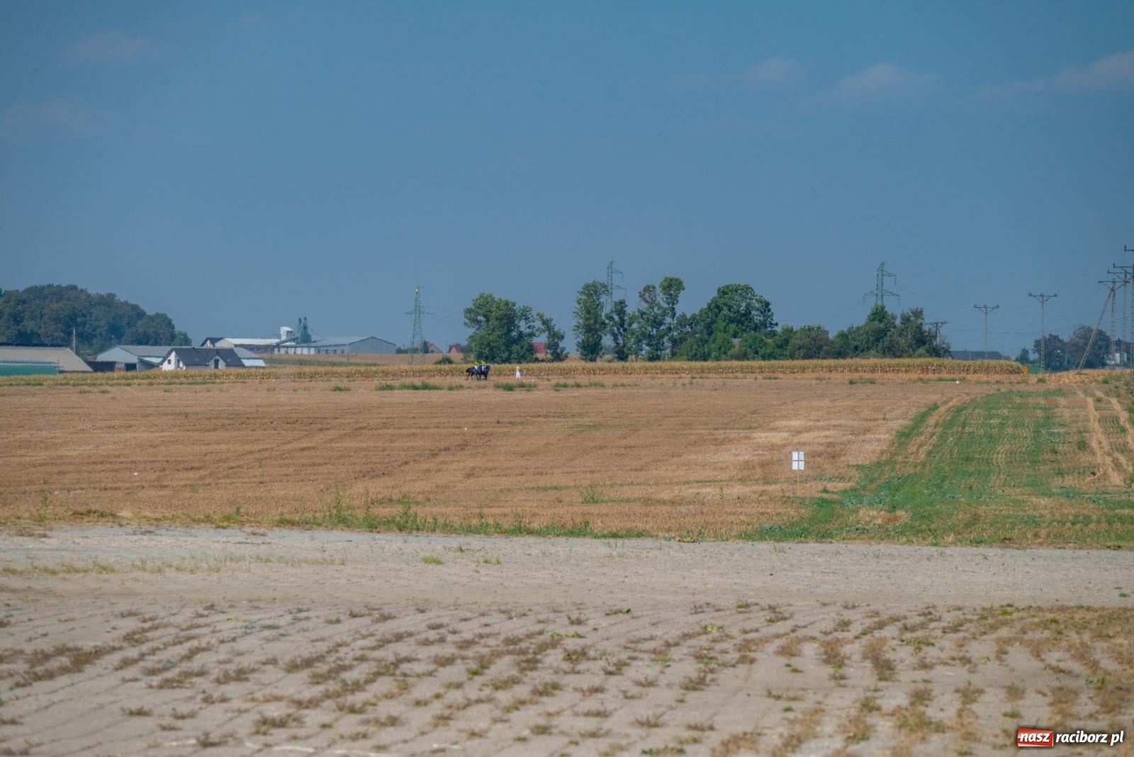 Zdjęcie w galerii na portalu naszraciborz.pl: Szlakiem cesarskich kurierów. Rajtowanie w Gamowie  wiadomości z regionu