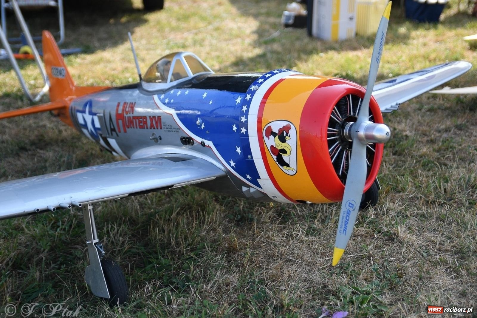 Zdjęcie w galerii na portalu naszraciborz.pl: XVII Międzynarodowy Piknik Modelarski w Raciborzu. W niedzielę drugi dzień pokazów wiadomości z regionu