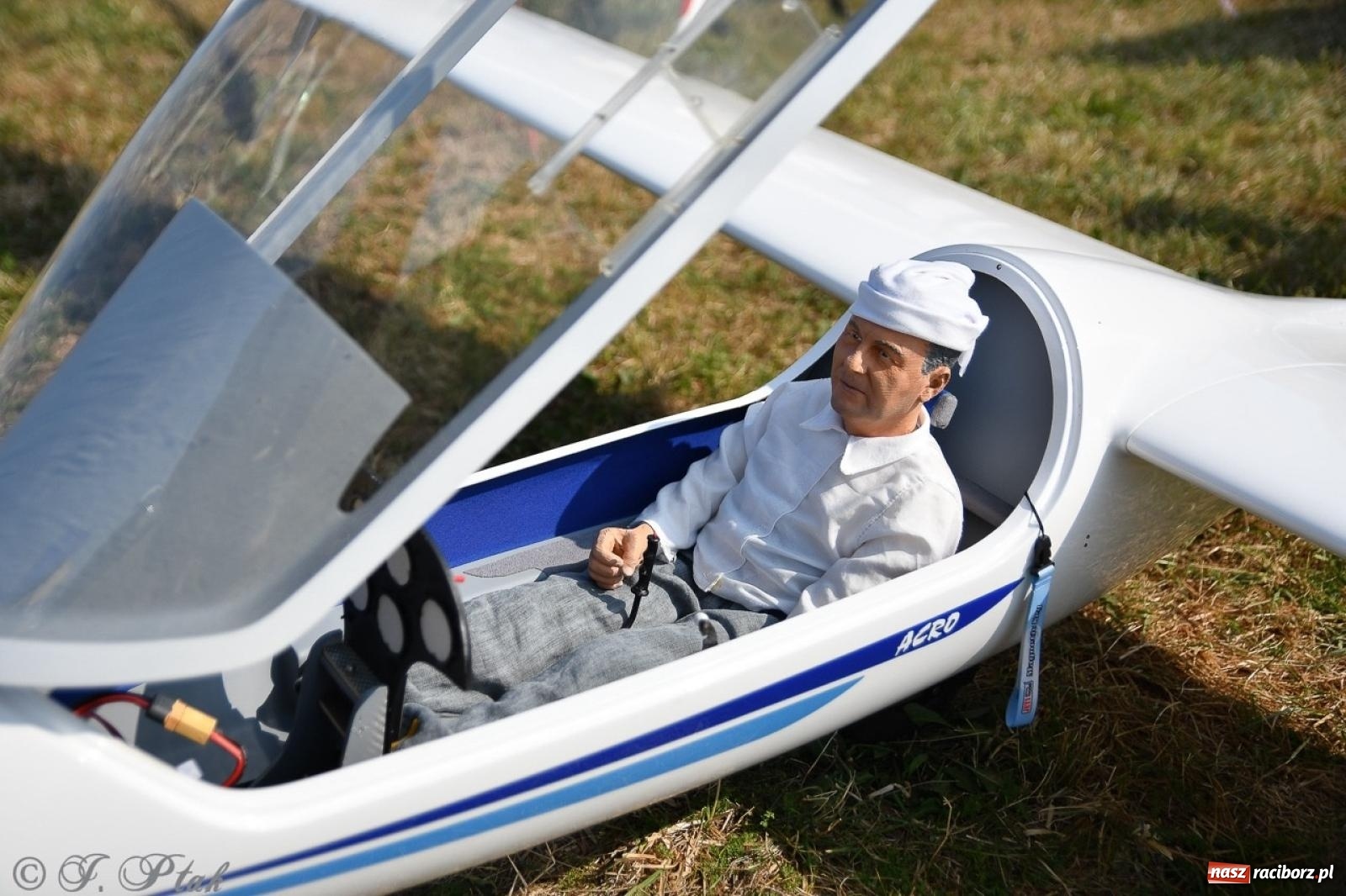 Zdjęcie w galerii na portalu naszraciborz.pl: XVII Międzynarodowy Piknik Modelarski w Raciborzu. W niedzielę drugi dzień pokazów wiadomości z regionu