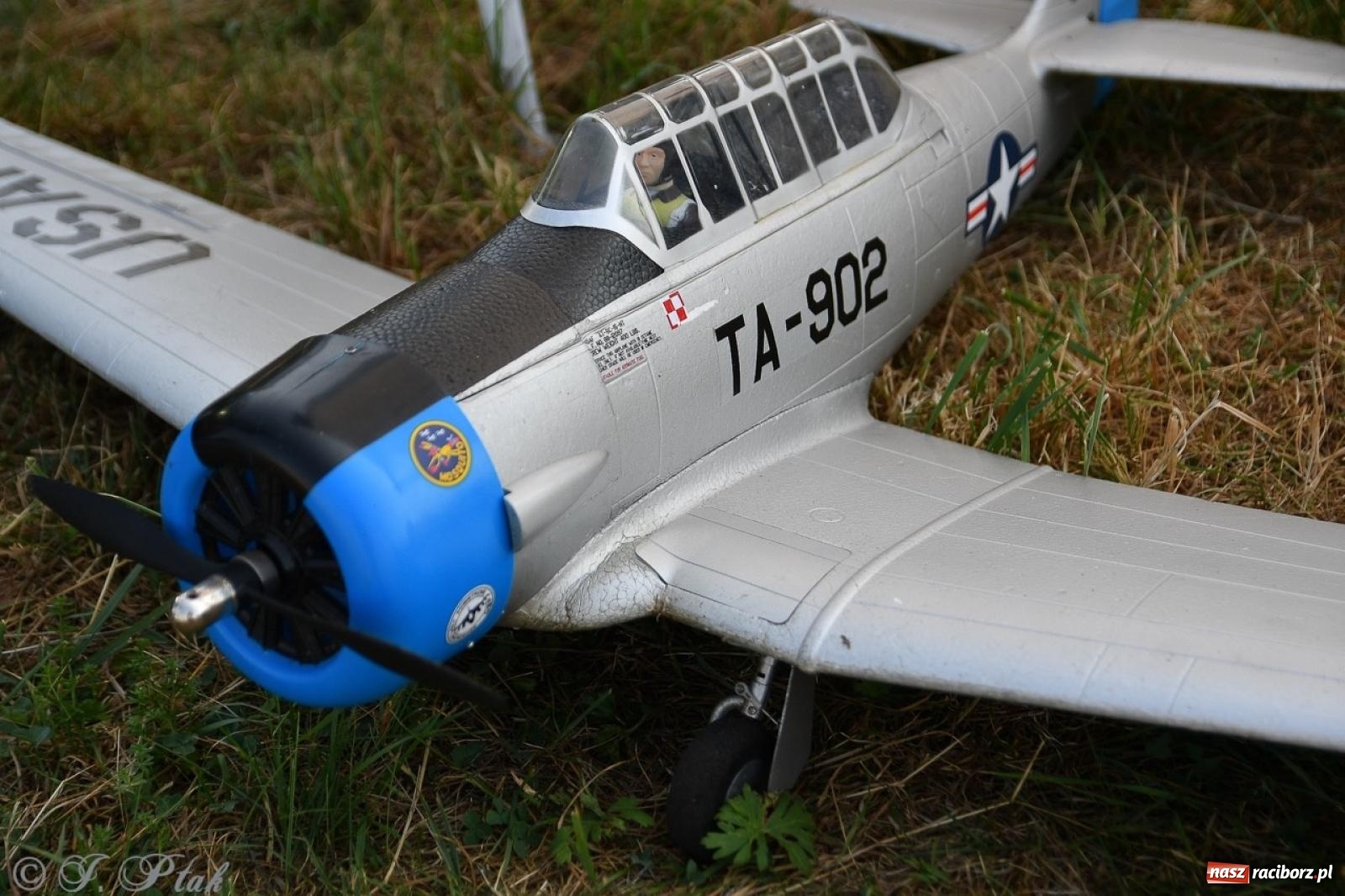 Zdjęcie w galerii na portalu naszraciborz.pl: XVII Międzynarodowy Piknik Modelarski w Raciborzu. W niedzielę drugi dzień pokazów wiadomości z regionu