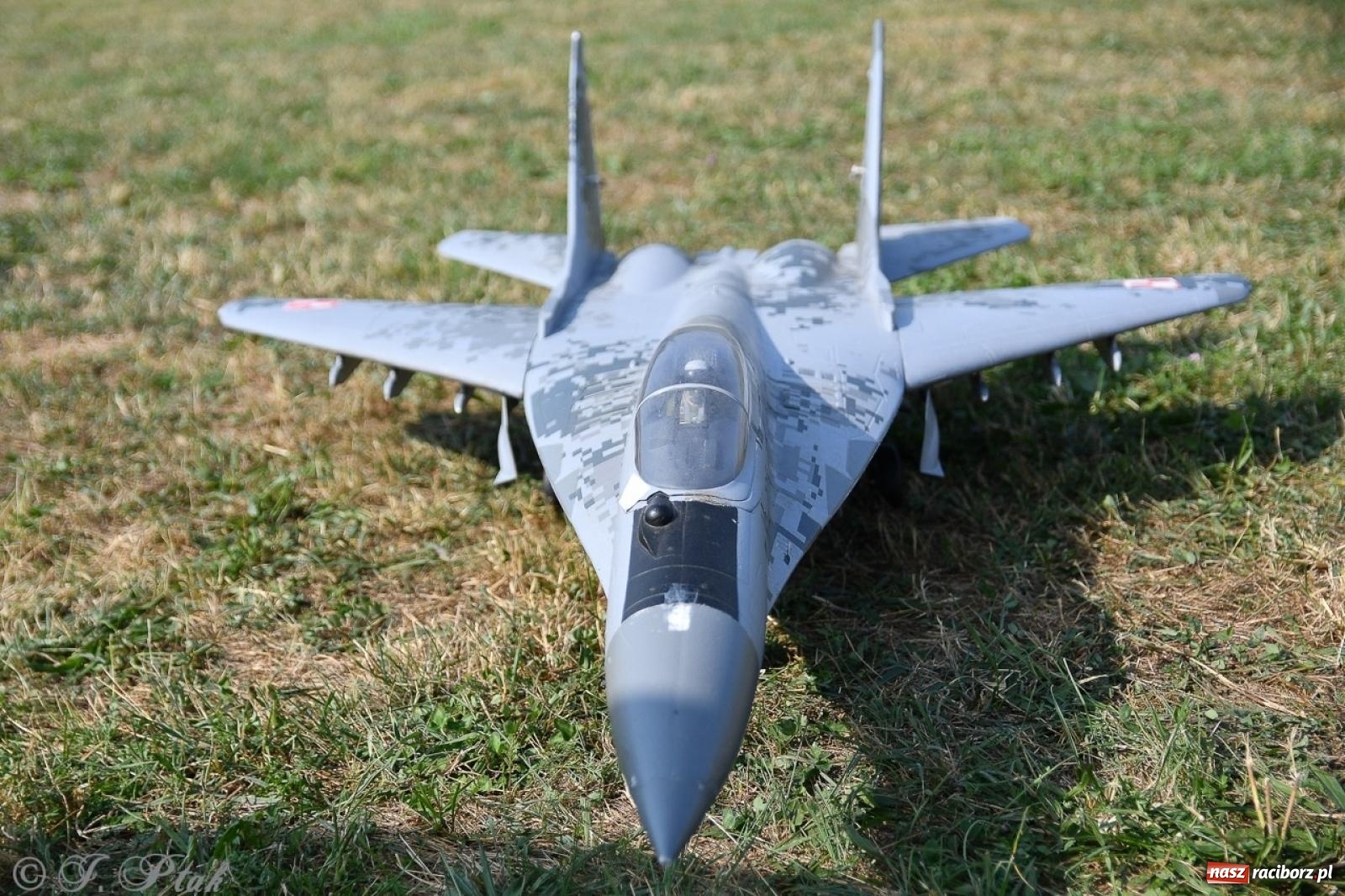 Zdjęcie w galerii na portalu naszraciborz.pl: XVII Międzynarodowy Piknik Modelarski w Raciborzu. W niedzielę drugi dzień pokazów wiadomości z regionu