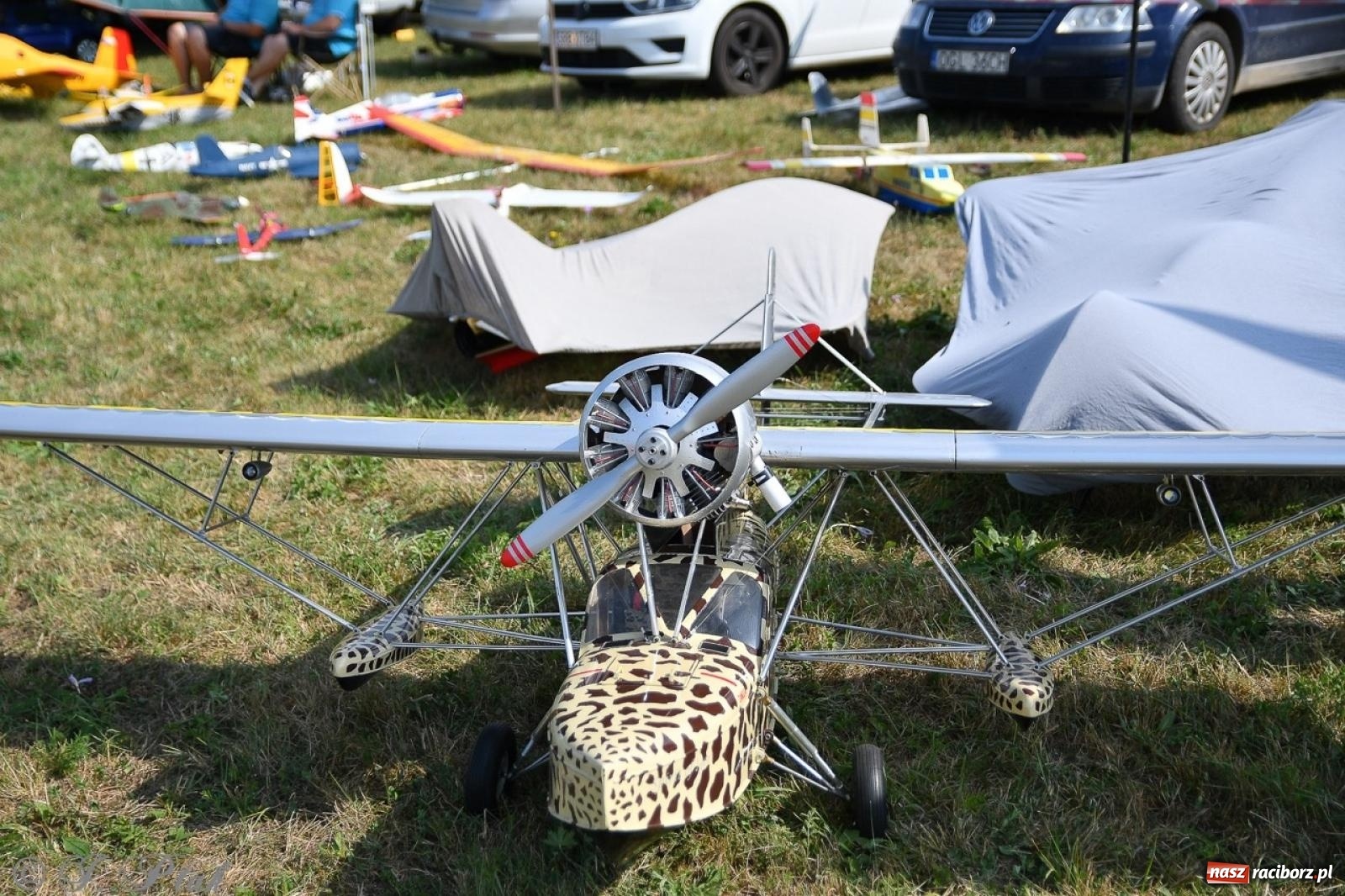 Zdjęcie w galerii na portalu naszraciborz.pl: XVII Międzynarodowy Piknik Modelarski w Raciborzu. W niedzielę drugi dzień pokazów wiadomości z regionu