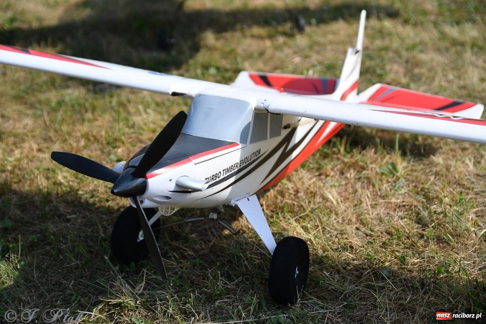 Zdjęcie w galerii na portalu naszraciborz.pl: XVII Międzynarodowy Piknik Modelarski w Raciborzu. W niedzielę drugi dzień pokazów wiadomości z regionu