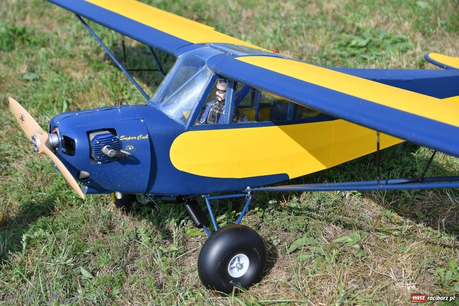 Zdjęcie w galerii na portalu naszraciborz.pl: XVII Międzynarodowy Piknik Modelarski w Raciborzu. W niedzielę drugi dzień pokazów wiadomości z regionu