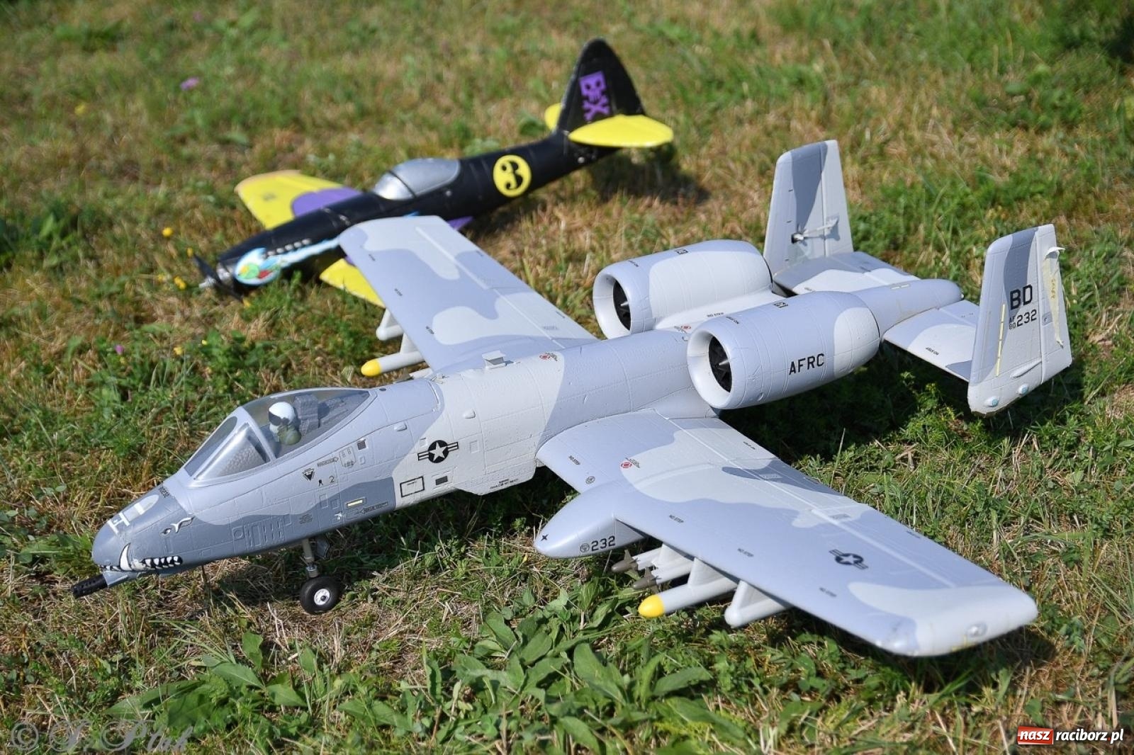 Zdjęcie w galerii na portalu naszraciborz.pl: XVII Międzynarodowy Piknik Modelarski w Raciborzu. W niedzielę drugi dzień pokazów wiadomości z regionu