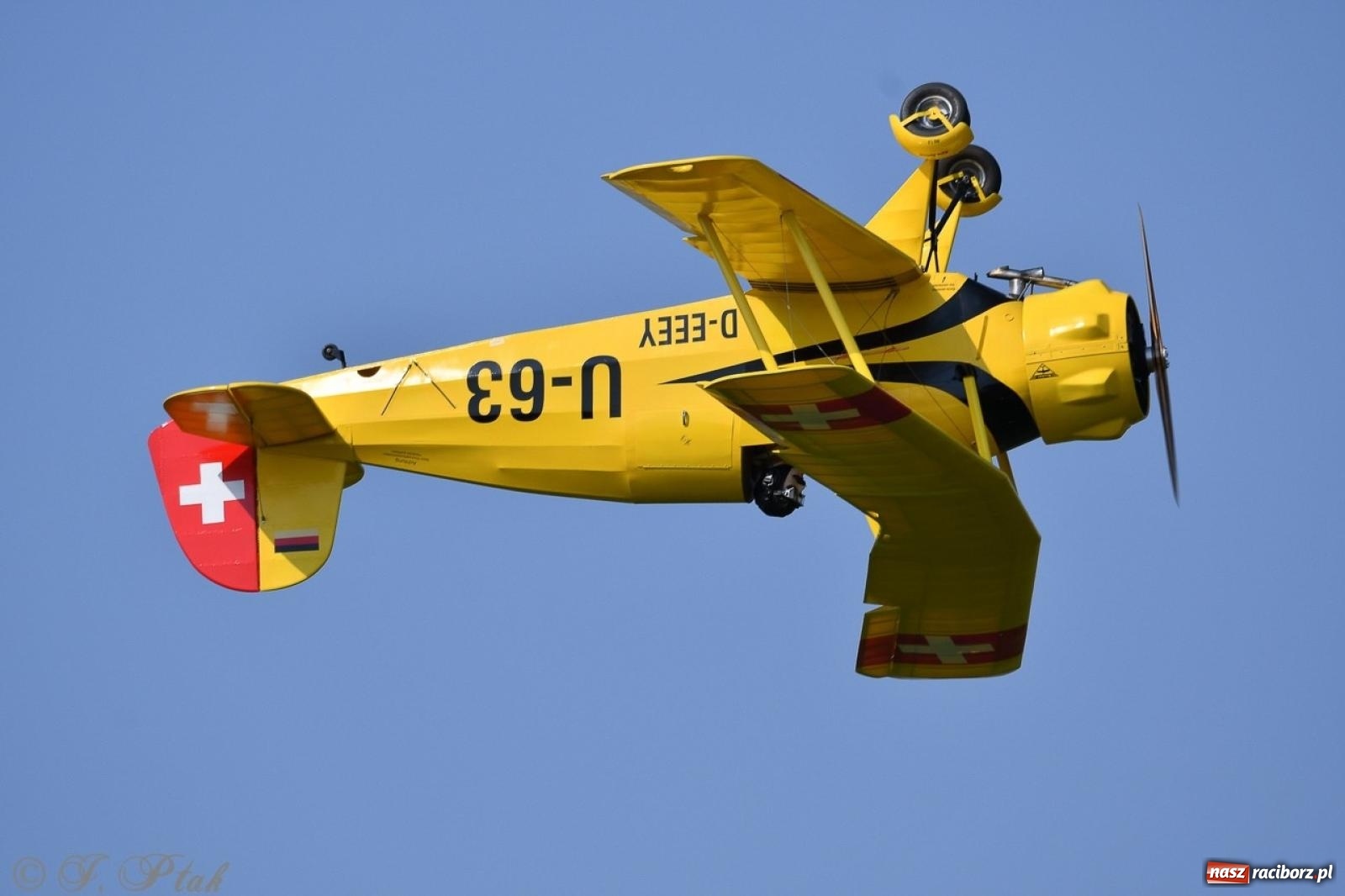 Zdjęcie w galerii na portalu naszraciborz.pl: XVII Międzynarodowy Piknik Modelarski w Raciborzu. W niedzielę drugi dzień pokazów wiadomości z regionu