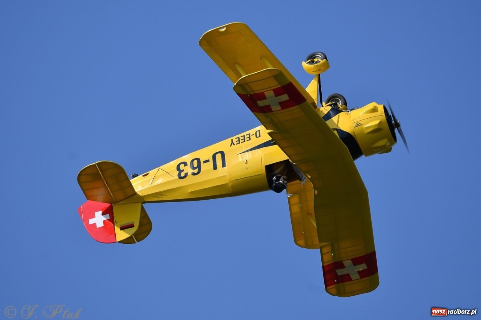 Zdjęcie w galerii na portalu naszraciborz.pl: XVII Międzynarodowy Piknik Modelarski w Raciborzu. W niedzielę drugi dzień pokazów wiadomości z regionu