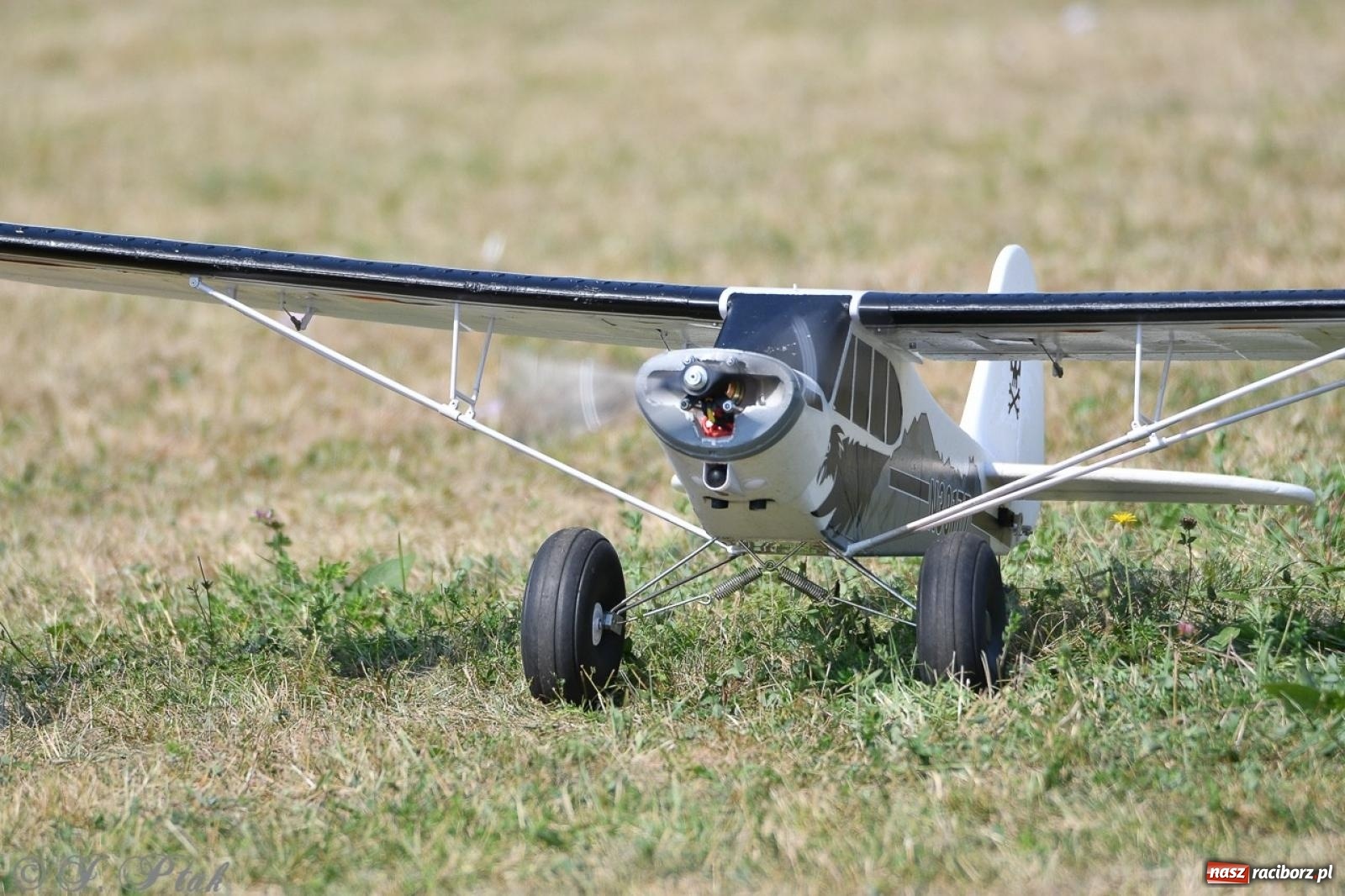 Zdjęcie w galerii na portalu naszraciborz.pl: XVII Międzynarodowy Piknik Modelarski w Raciborzu. W niedzielę drugi dzień pokazów wiadomości z regionu