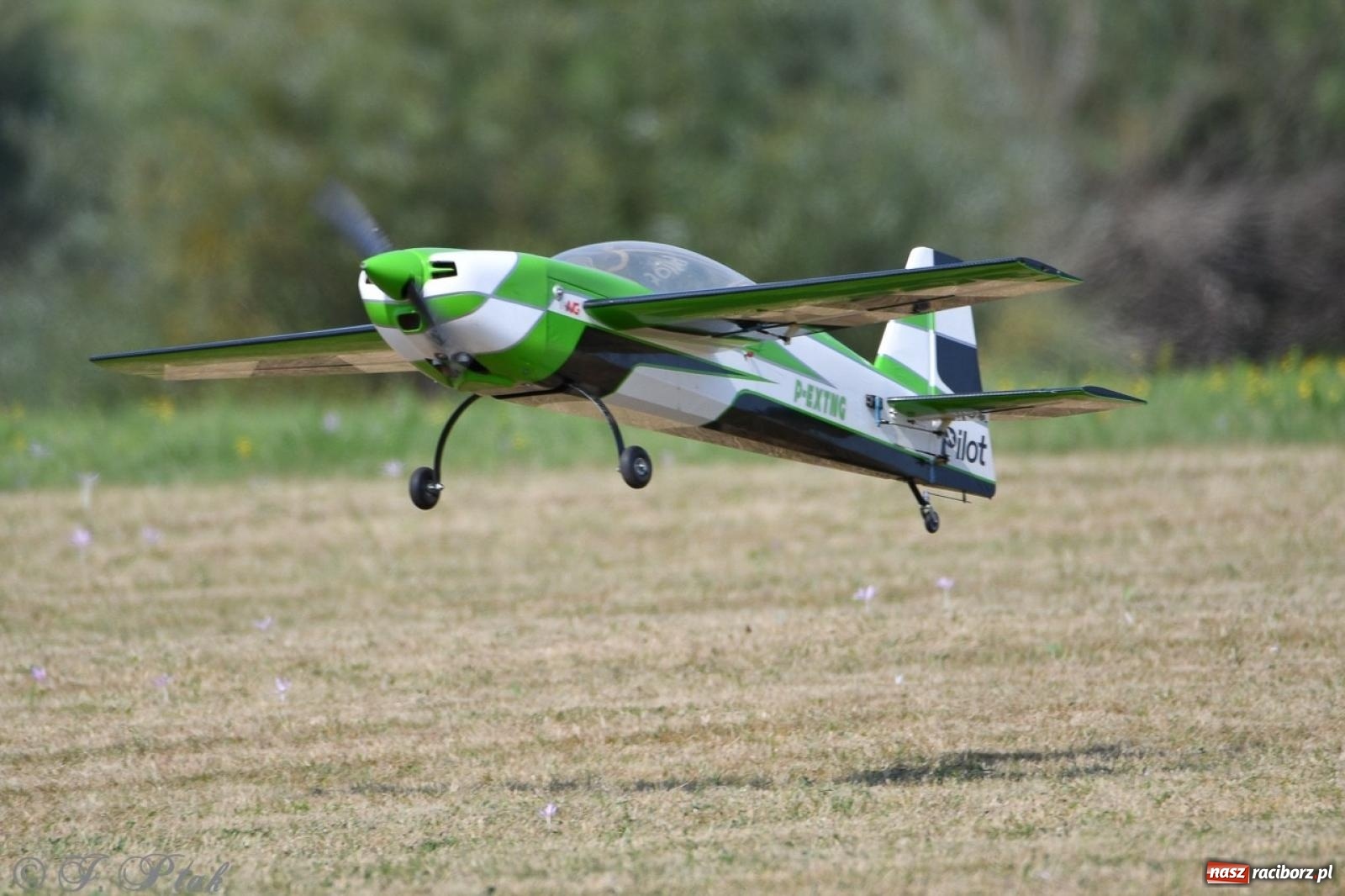 Zdjęcie w galerii na portalu naszraciborz.pl: XVII Międzynarodowy Piknik Modelarski w Raciborzu. W niedzielę drugi dzień pokazów wiadomości z regionu