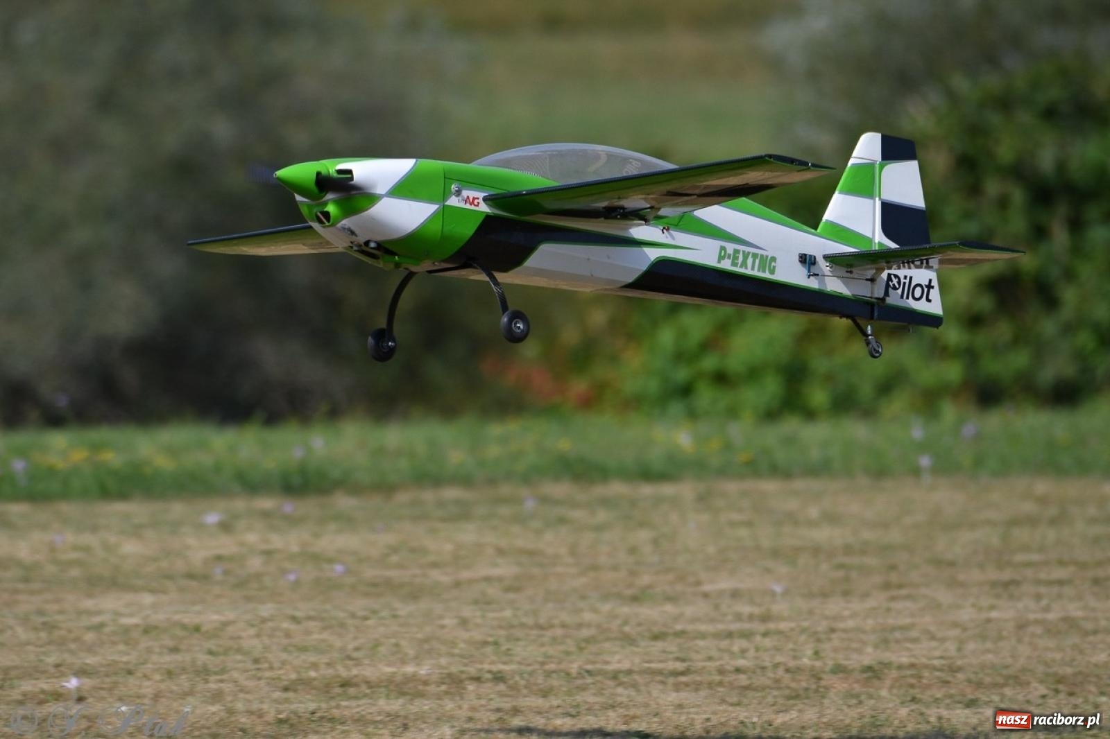 Zdjęcie w galerii na portalu naszraciborz.pl: XVII Międzynarodowy Piknik Modelarski w Raciborzu. W niedzielę drugi dzień pokazów wiadomości z regionu