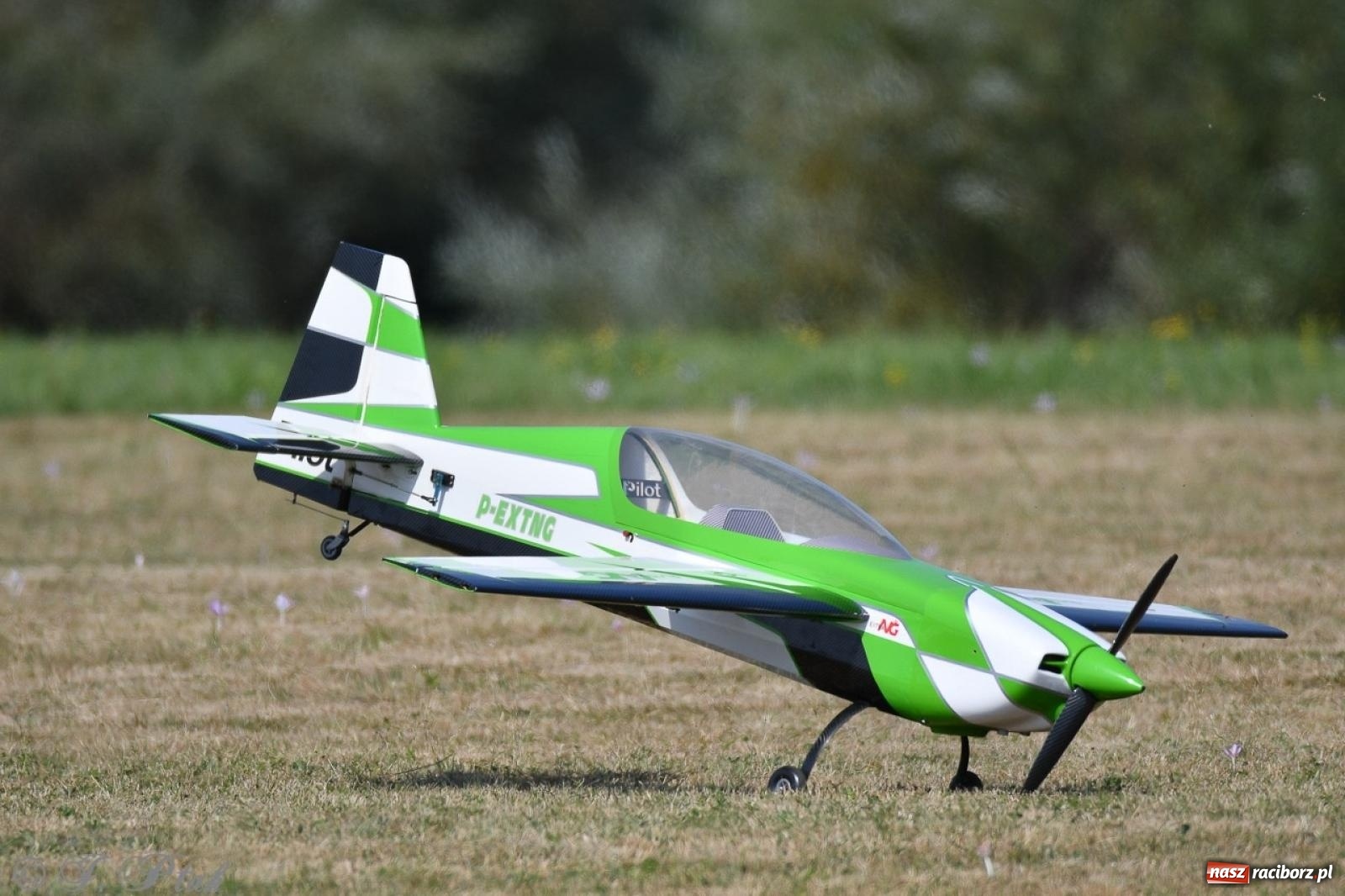 Zdjęcie w galerii na portalu naszraciborz.pl: XVII Międzynarodowy Piknik Modelarski w Raciborzu. W niedzielę drugi dzień pokazów wiadomości z regionu