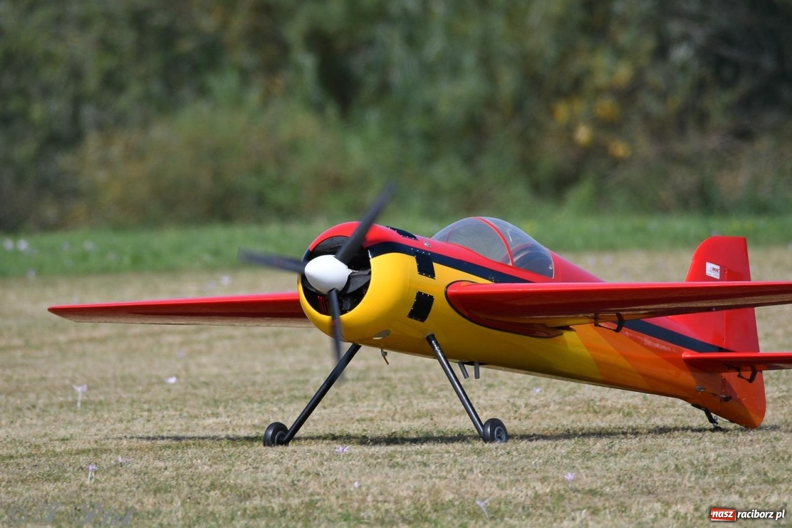 Zdjęcie w galerii na portalu naszraciborz.pl: XVII Międzynarodowy Piknik Modelarski w Raciborzu. W niedzielę drugi dzień pokazów wiadomości z regionu