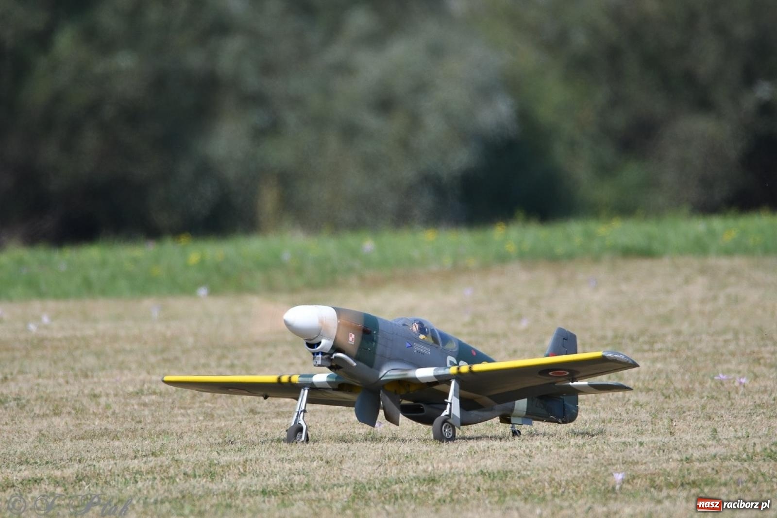 Zdjęcie w galerii na portalu naszraciborz.pl: XVII Międzynarodowy Piknik Modelarski w Raciborzu. W niedzielę drugi dzień pokazów wiadomości z regionu