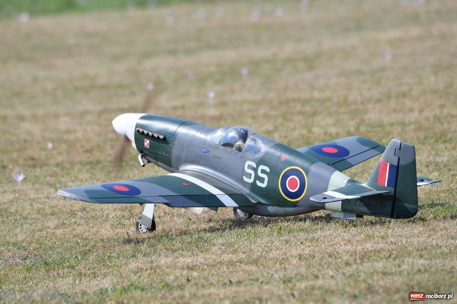 Zdjęcie w galerii na portalu naszraciborz.pl: XVII Międzynarodowy Piknik Modelarski w Raciborzu. W niedzielę drugi dzień pokazów wiadomości z regionu