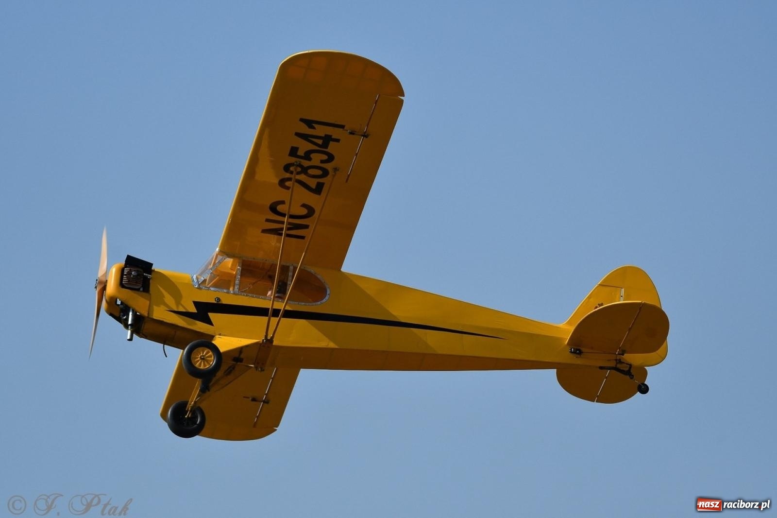 Zdjęcie w galerii na portalu naszraciborz.pl: XVII Międzynarodowy Piknik Modelarski w Raciborzu. W niedzielę drugi dzień pokazów wiadomości z regionu