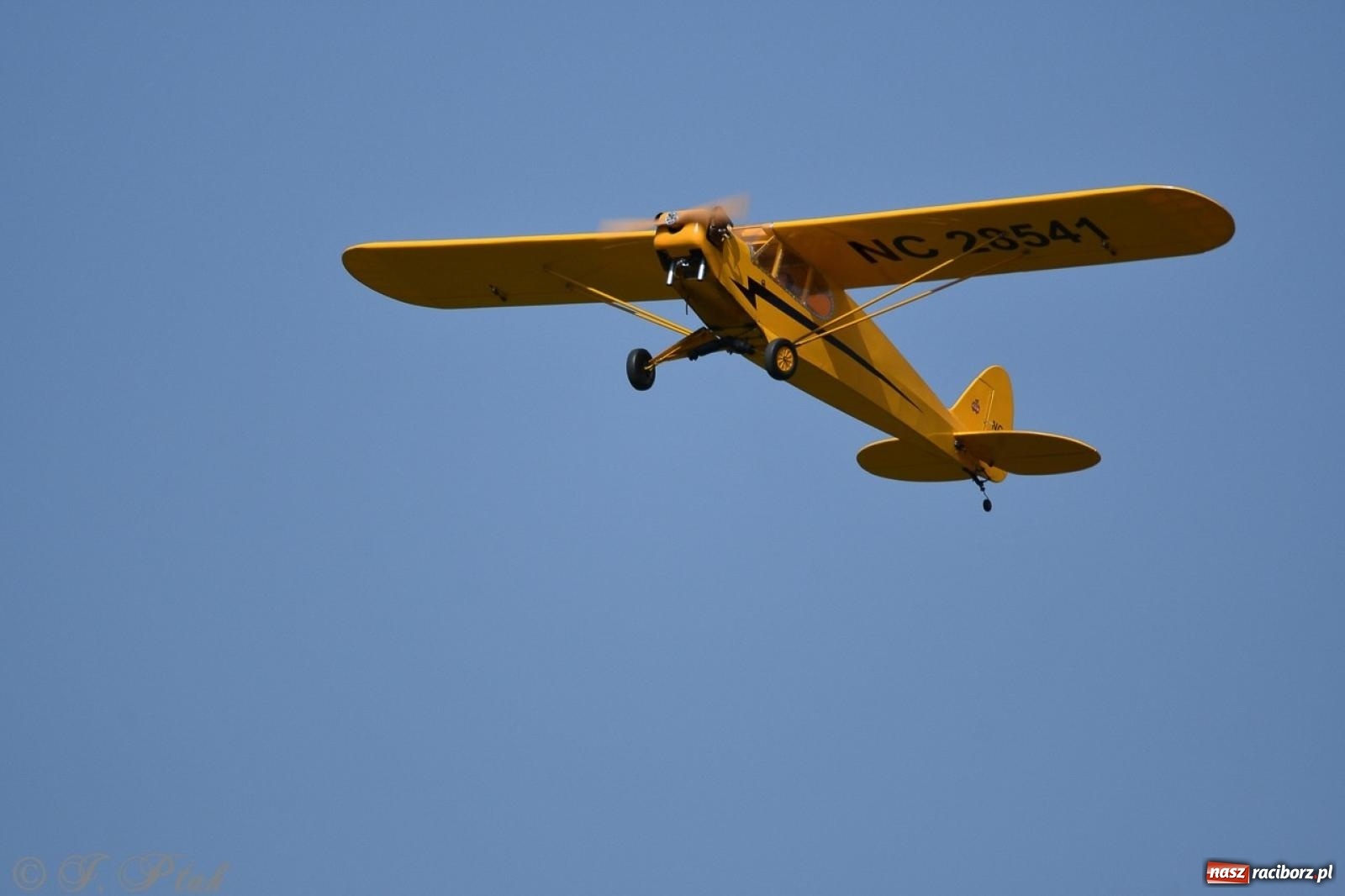 Zdjęcie w galerii na portalu naszraciborz.pl: XVII Międzynarodowy Piknik Modelarski w Raciborzu. W niedzielę drugi dzień pokazów wiadomości z regionu