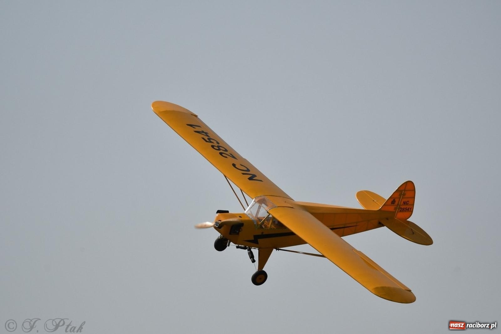 Zdjęcie w galerii na portalu naszraciborz.pl: XVII Międzynarodowy Piknik Modelarski w Raciborzu. W niedzielę drugi dzień pokazów wiadomości z regionu