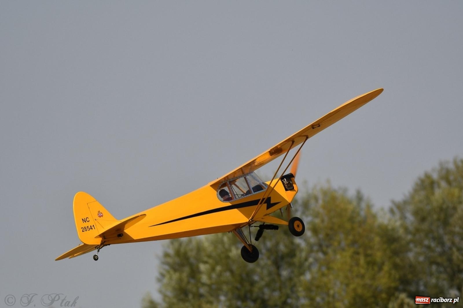 Zdjęcie w galerii na portalu naszraciborz.pl: XVII Międzynarodowy Piknik Modelarski w Raciborzu. W niedzielę drugi dzień pokazów wiadomości z regionu