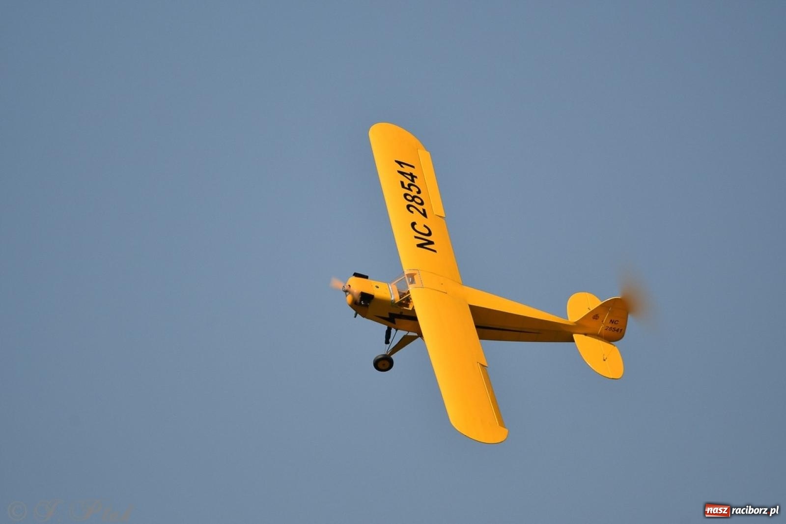 Zdjęcie w galerii na portalu naszraciborz.pl: XVII Międzynarodowy Piknik Modelarski w Raciborzu. W niedzielę drugi dzień pokazów wiadomości z regionu